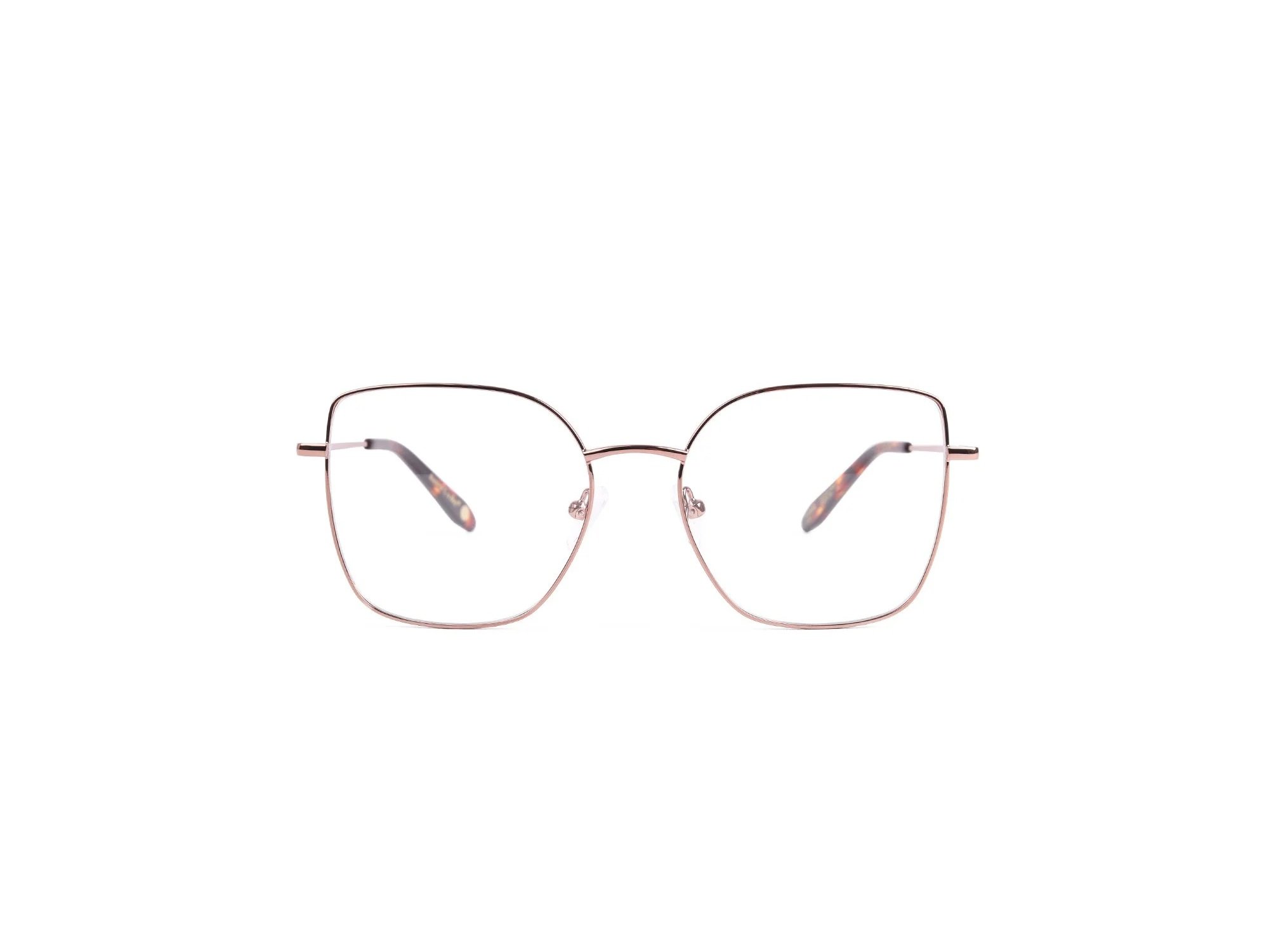 PAIGE | C03 BROWN
