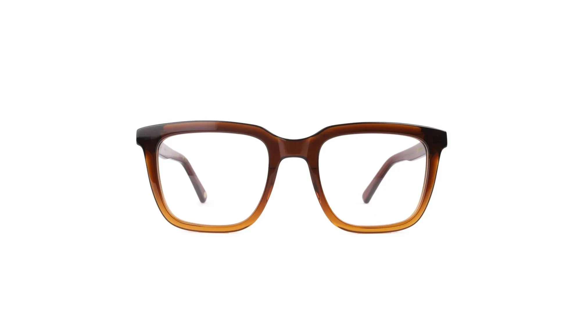 ARLO_C06_FRONT.jpg