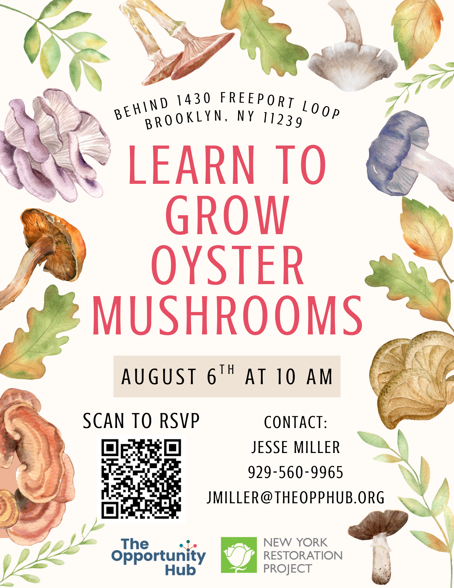 Oyster Mushroom Workshop