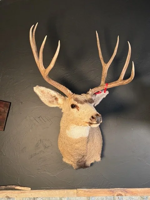 IMG_3358.jpg
