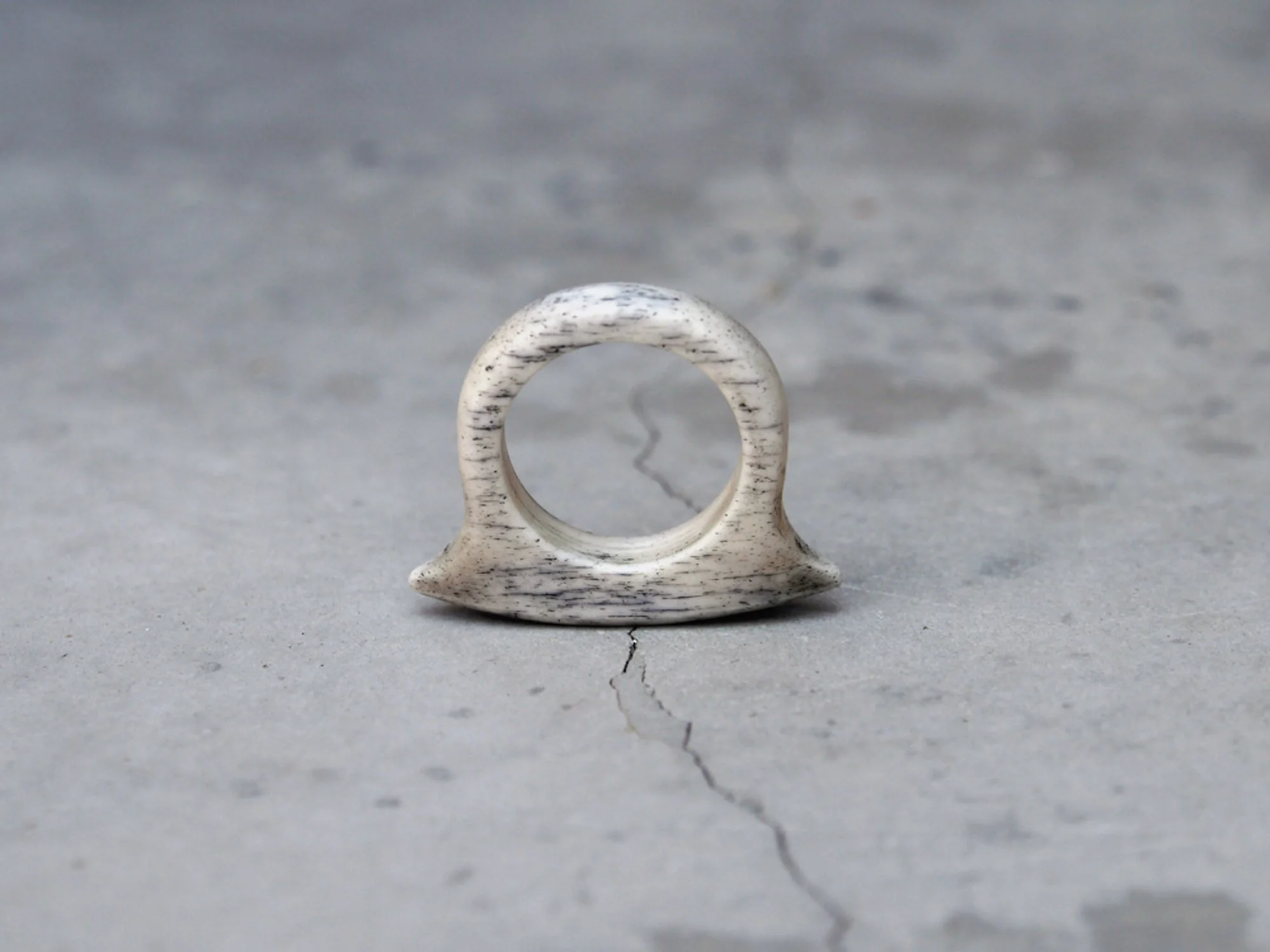 Shield Ring, Inked Bone, 2018
