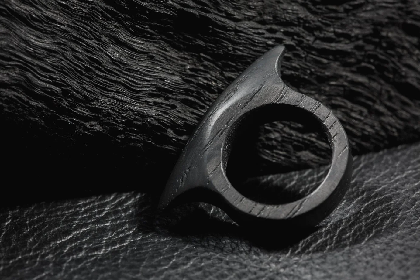 Shield Ring, Bog Oak, 2017