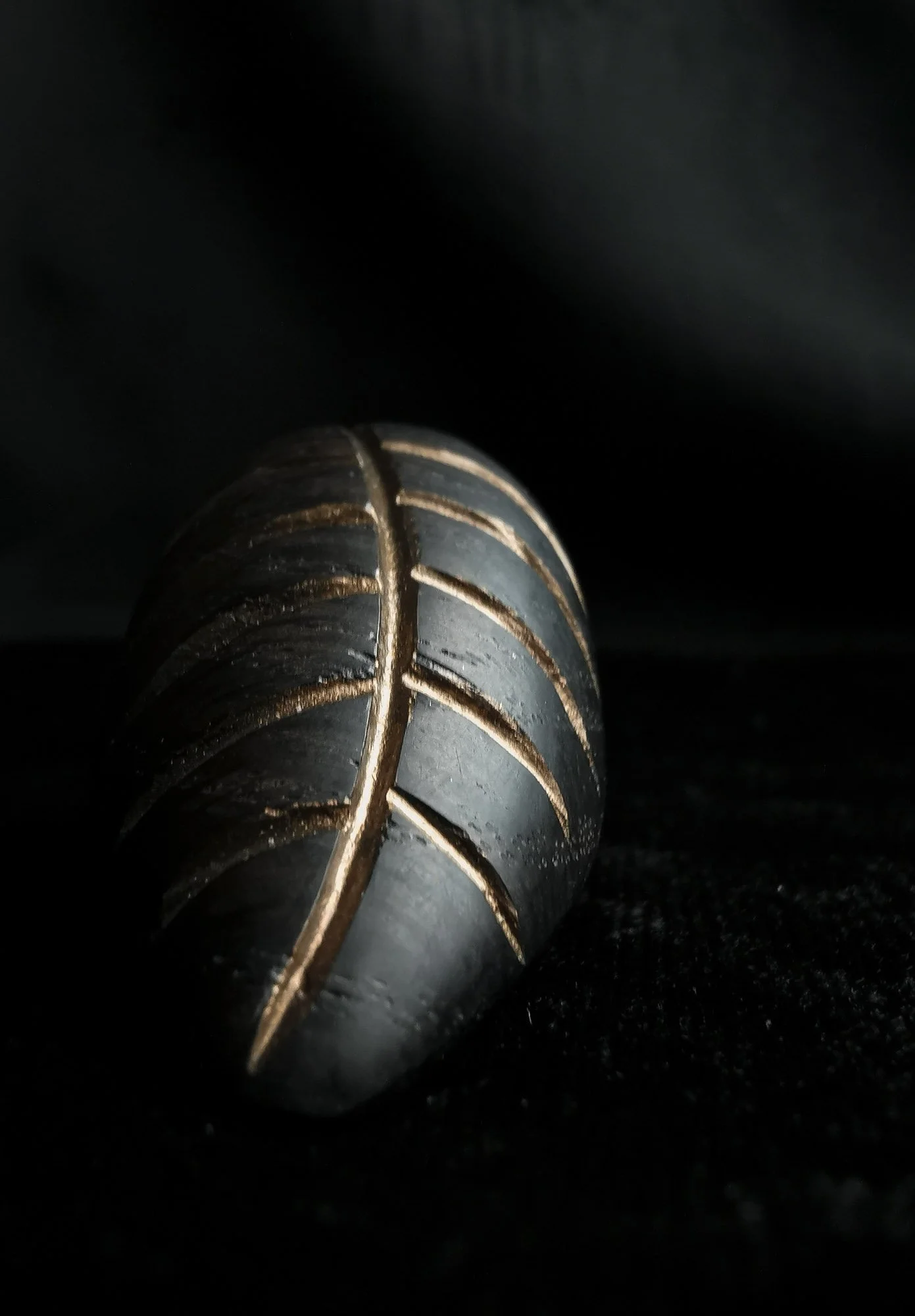 Shield Ring, Bog Oak, Metallic Paint, 2022