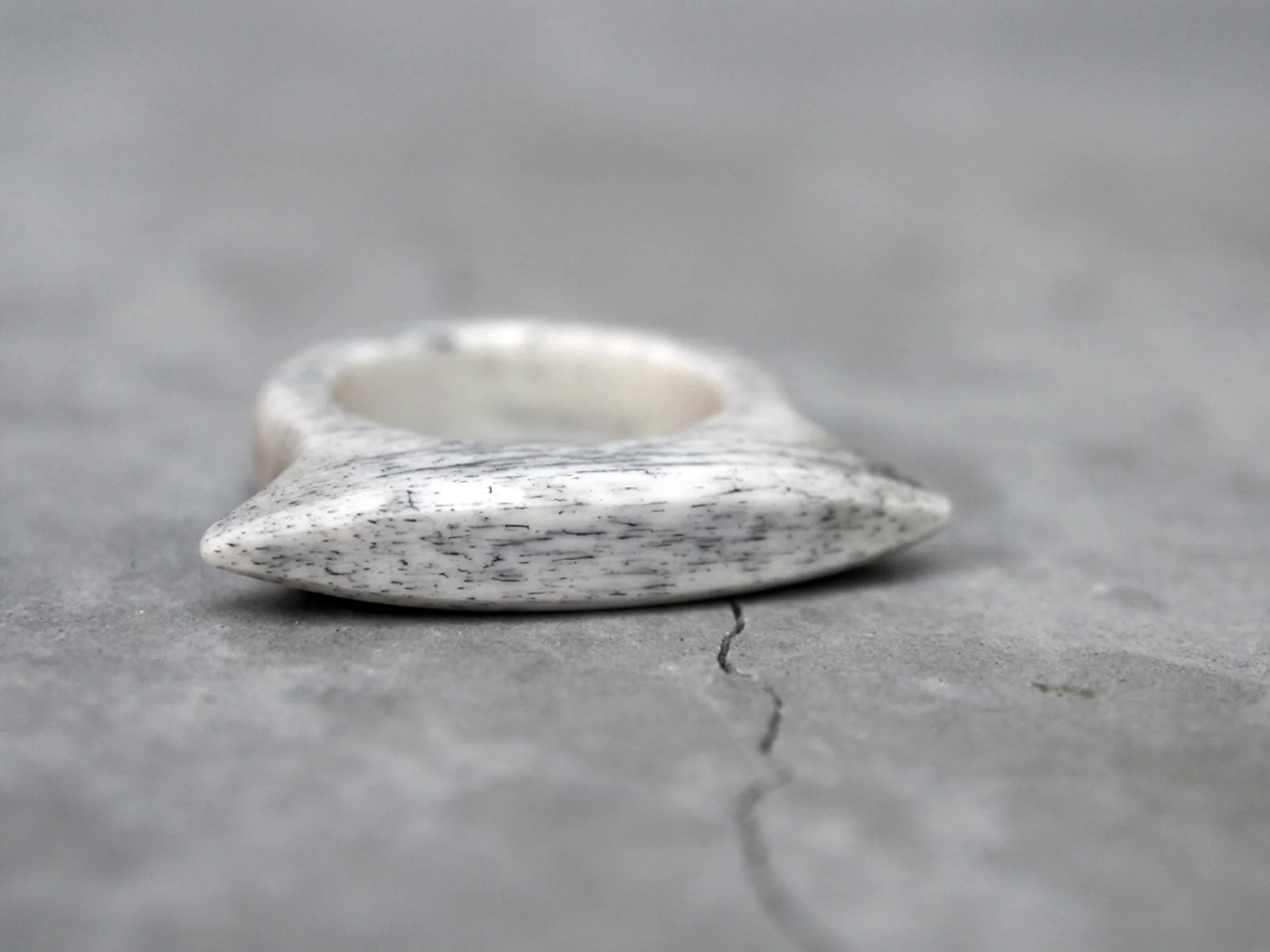 Shield Ring, Inked Bone, 2018