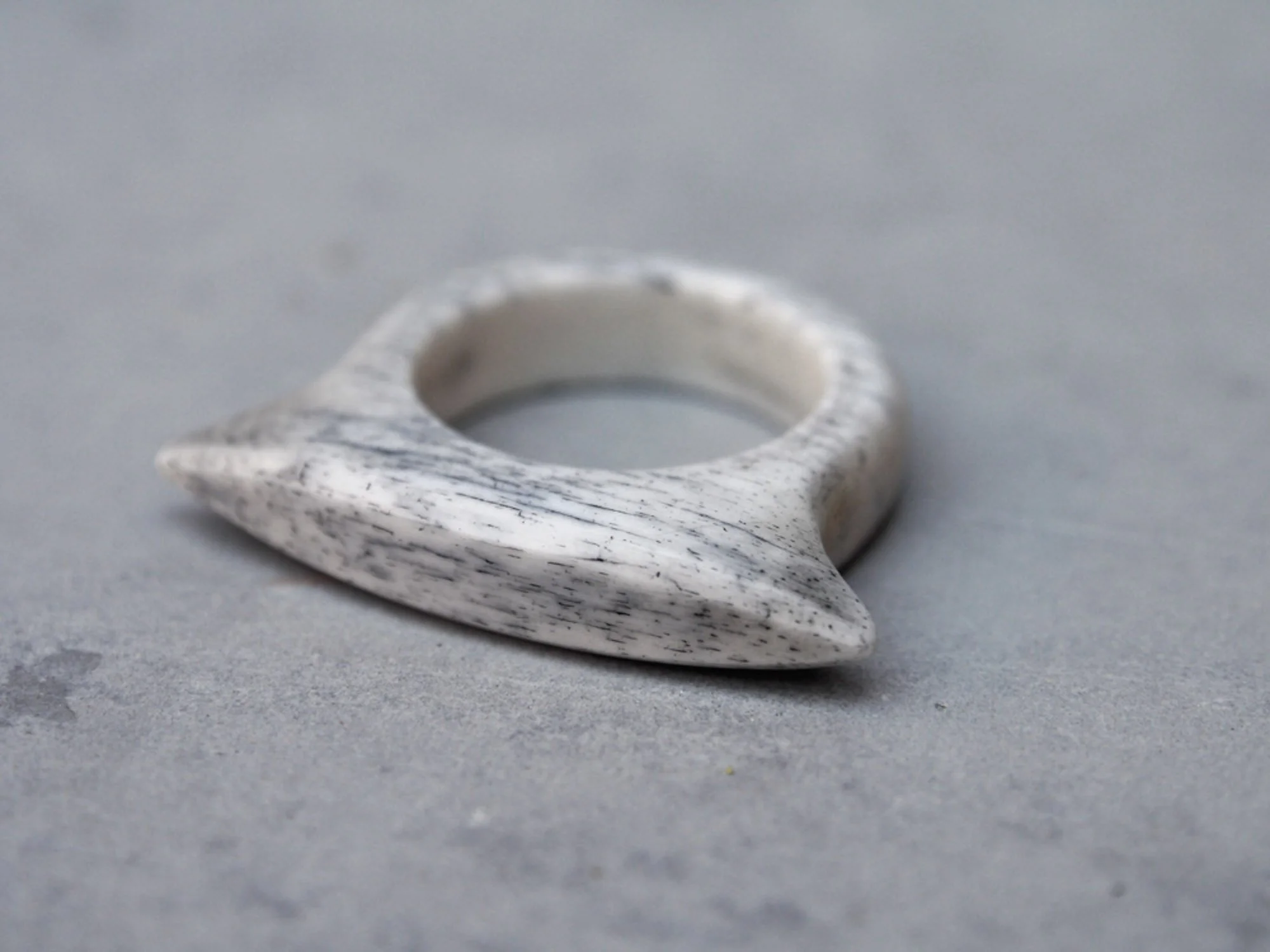 Shield Ring, Inked Bone, 2018