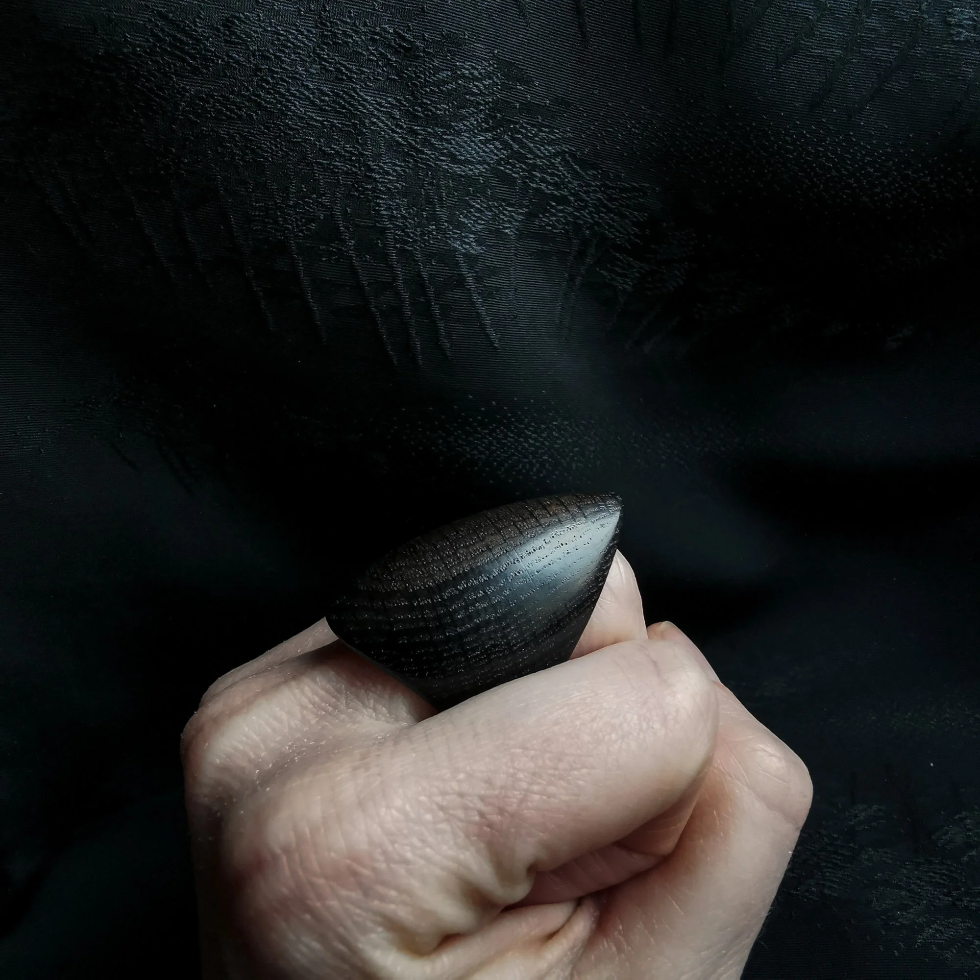 Shield Ring, "Shell", Bog Oak, 2022