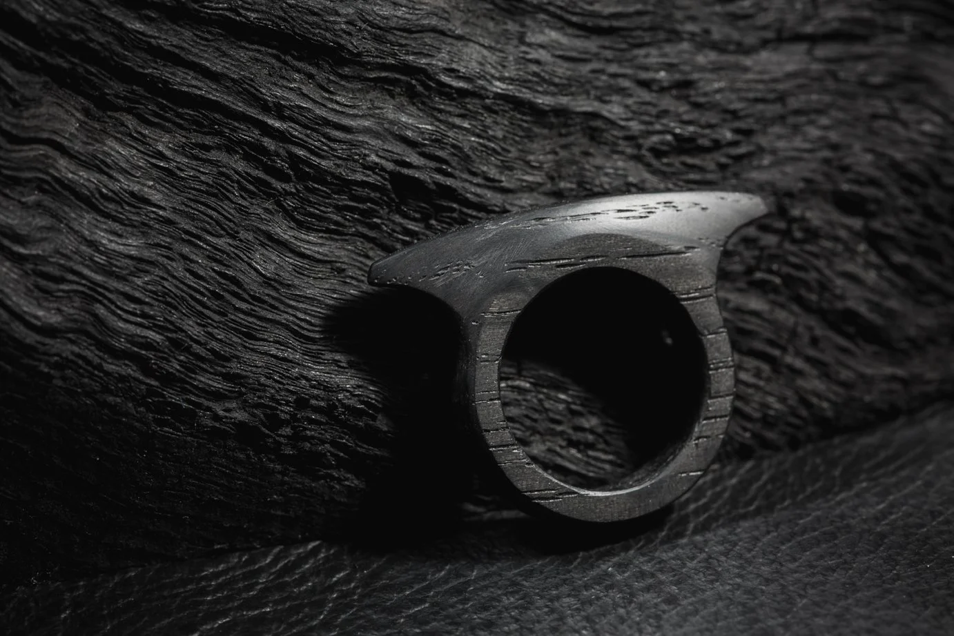 Shield Ring, Bog Oak, 2017