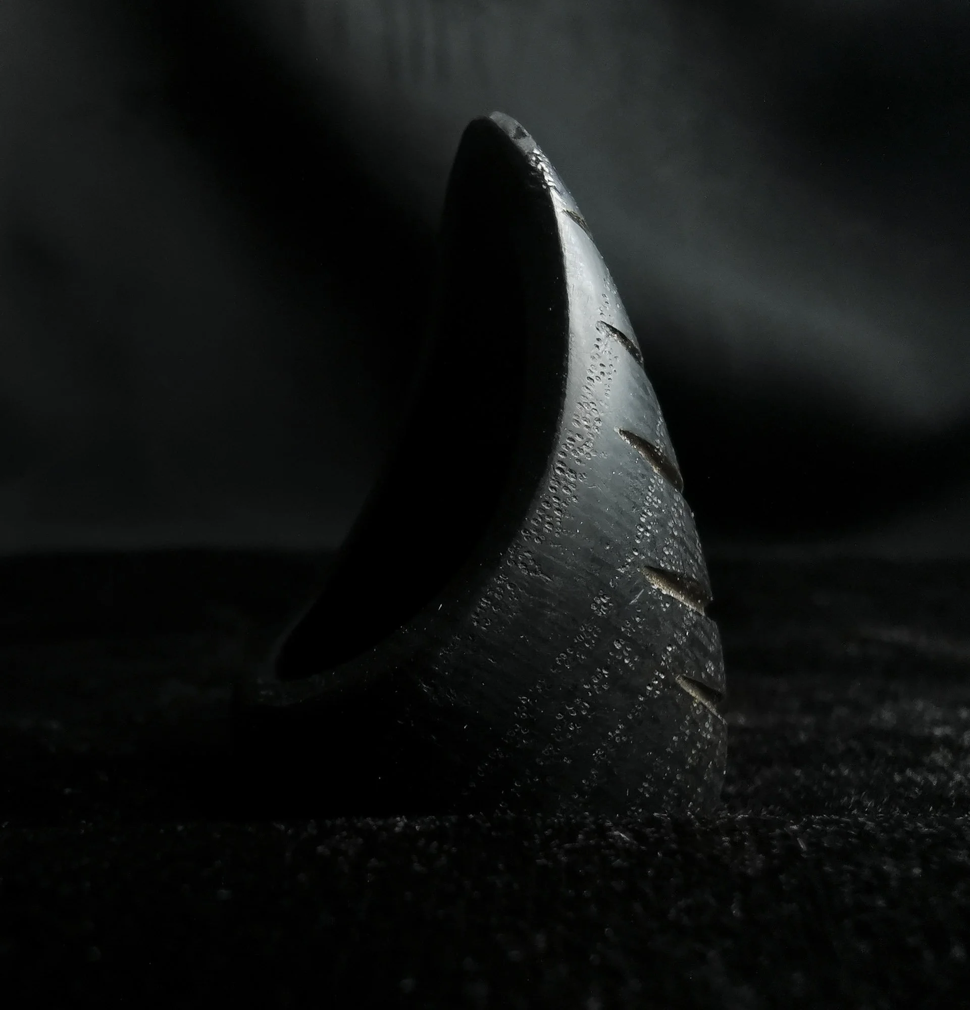 Shield Ring, Bog Oak, Metallic Paint, 2022