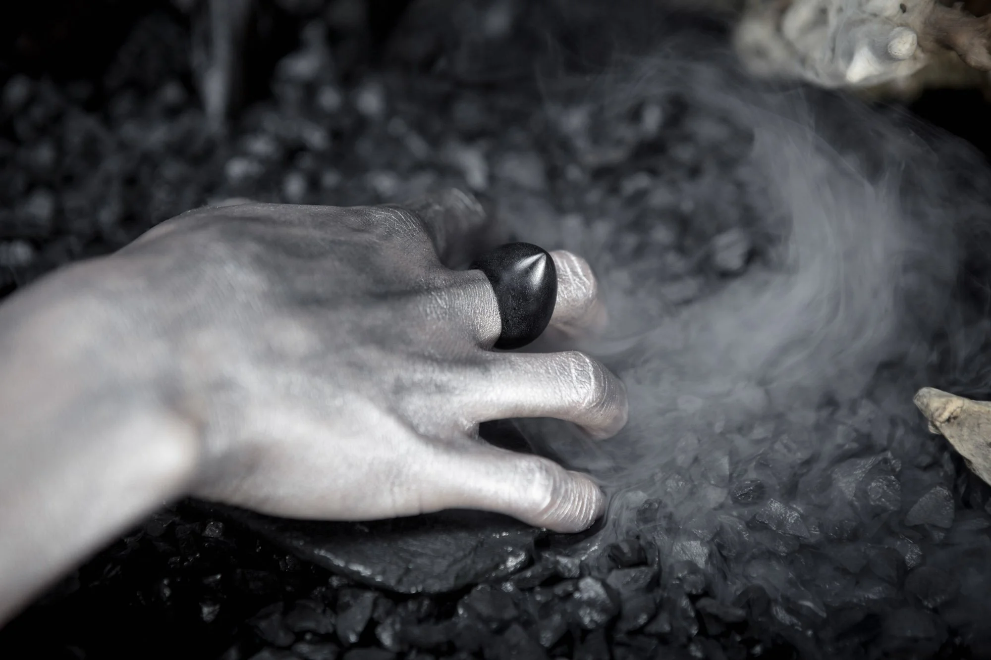 Shield Ring, "Mater", Bog Oak, 2017