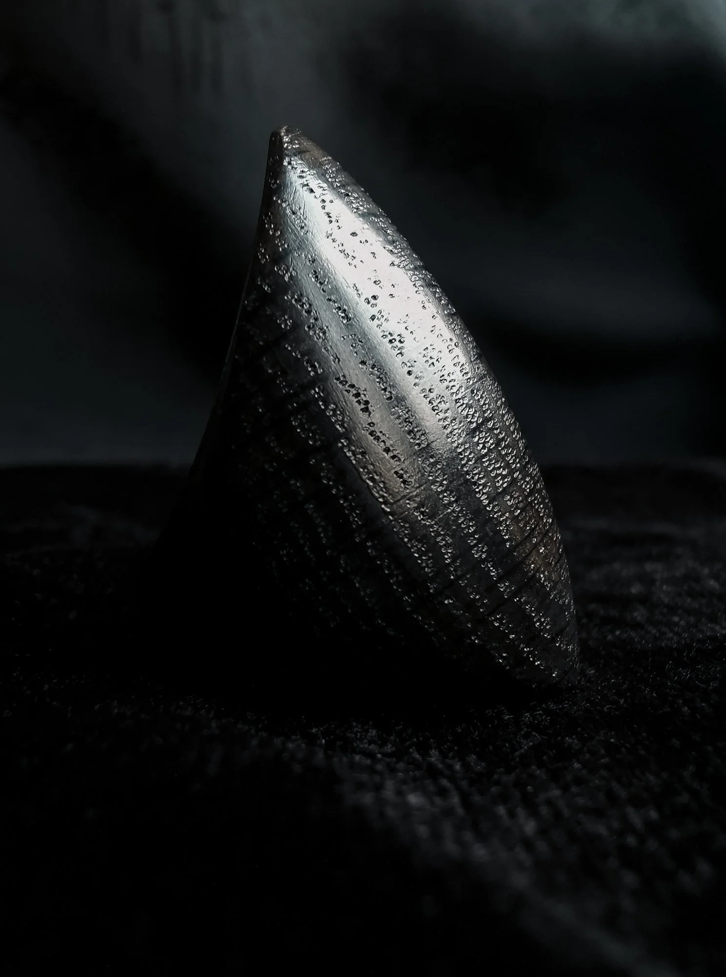 Shield Ring, "Shell", Bog Oak, 2022