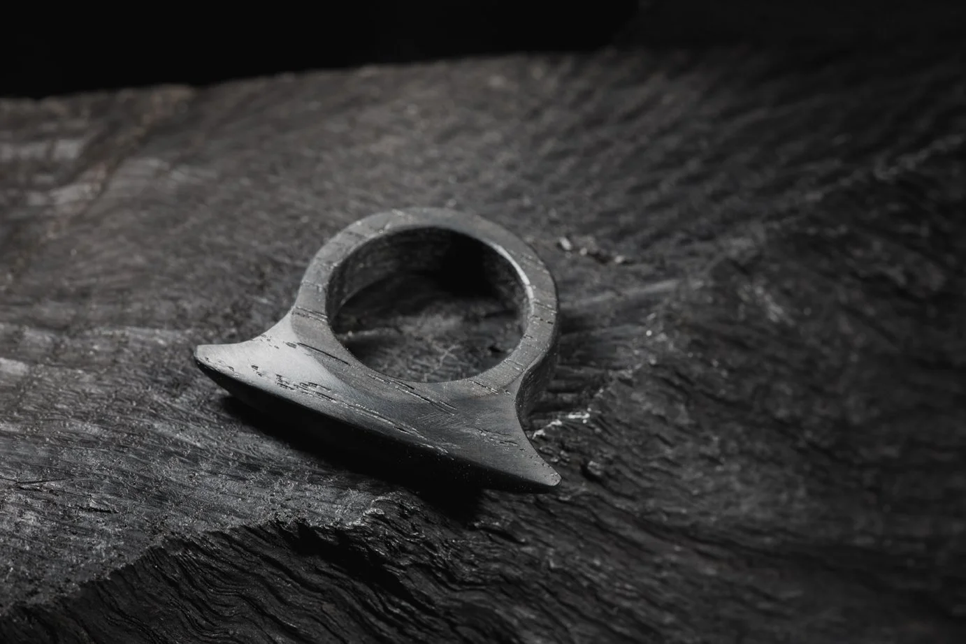 Shield Ring, Bog Oak, 2017