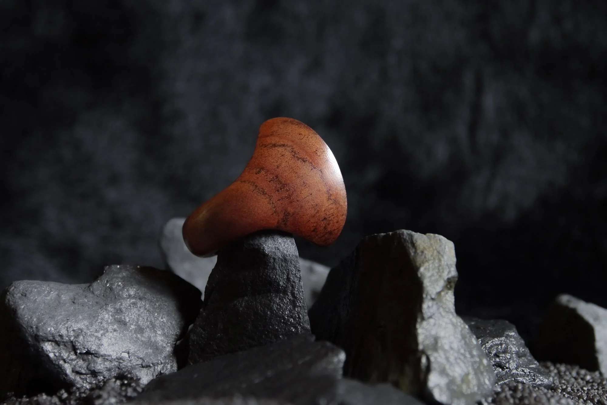Shield Ring, Zambezi Teak, 2023