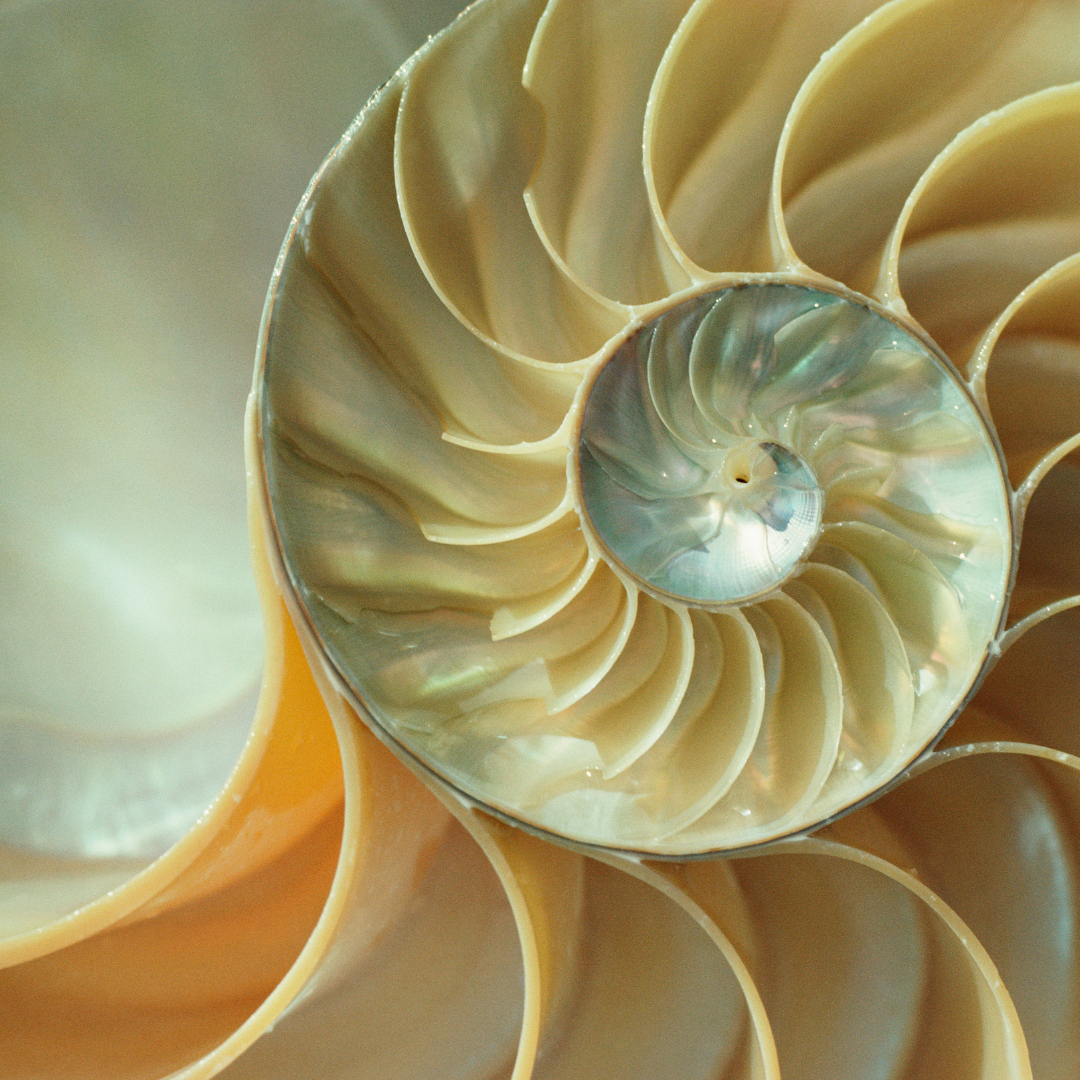 Labyrinth Bilder  (5).png