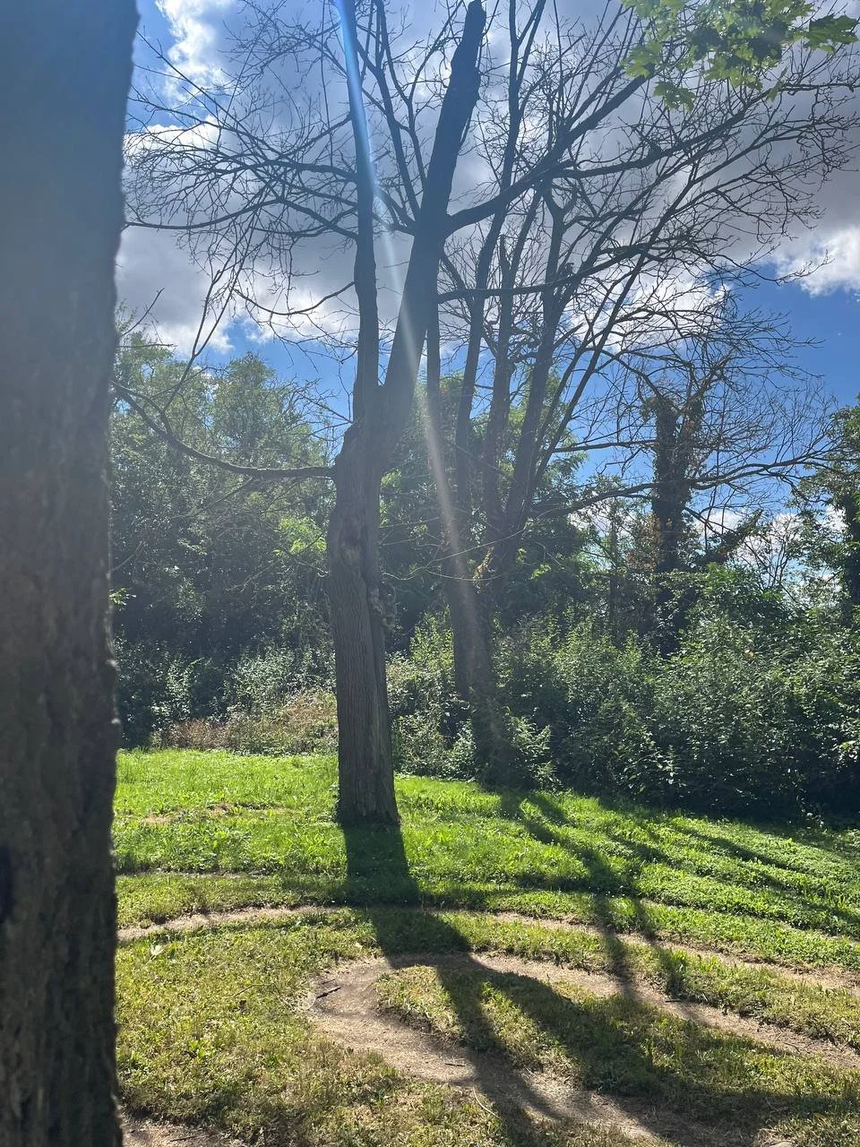 Ein Besuch in Hildegards Kloster