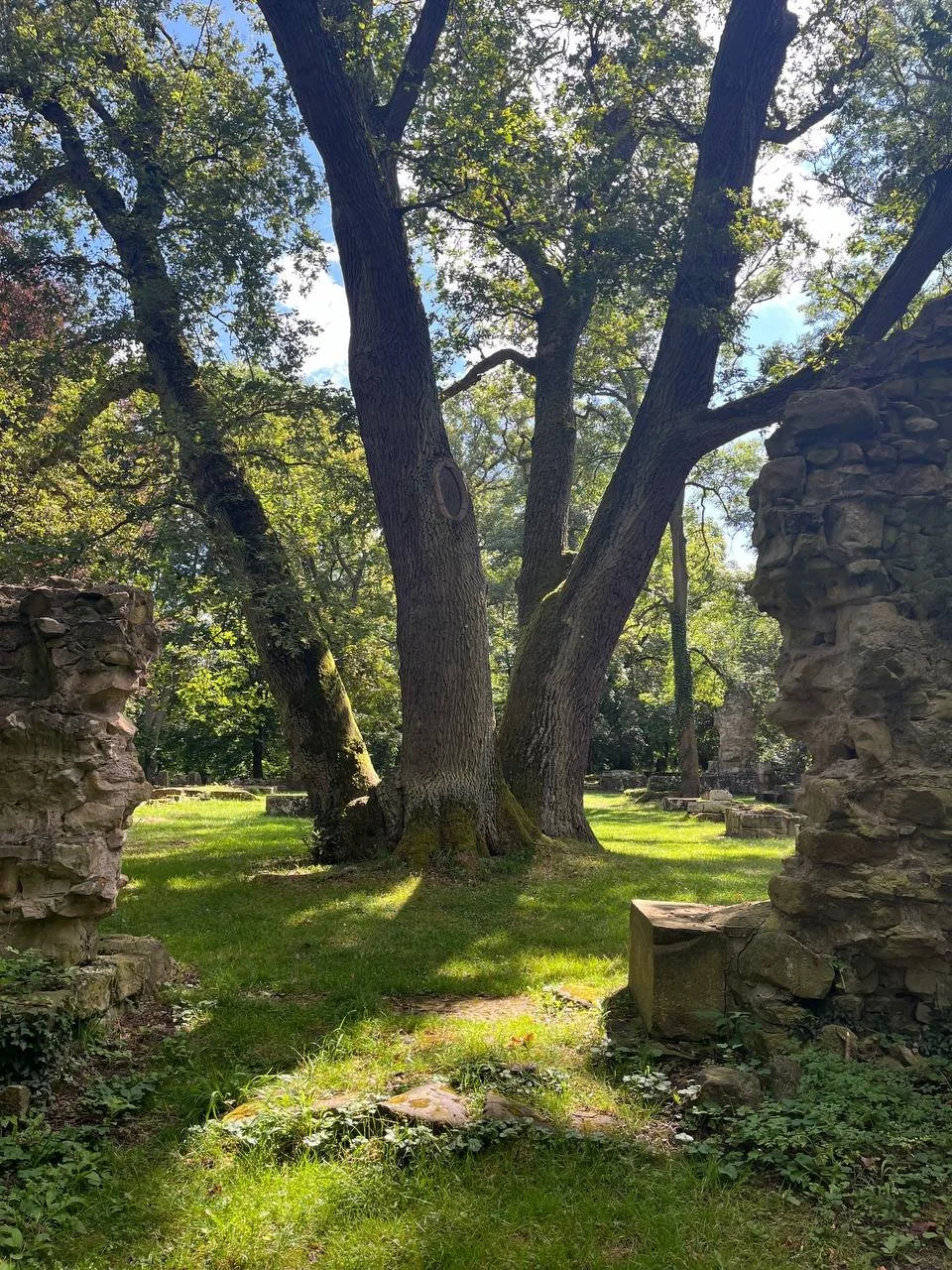 Briefe, Visionen und Verbündete