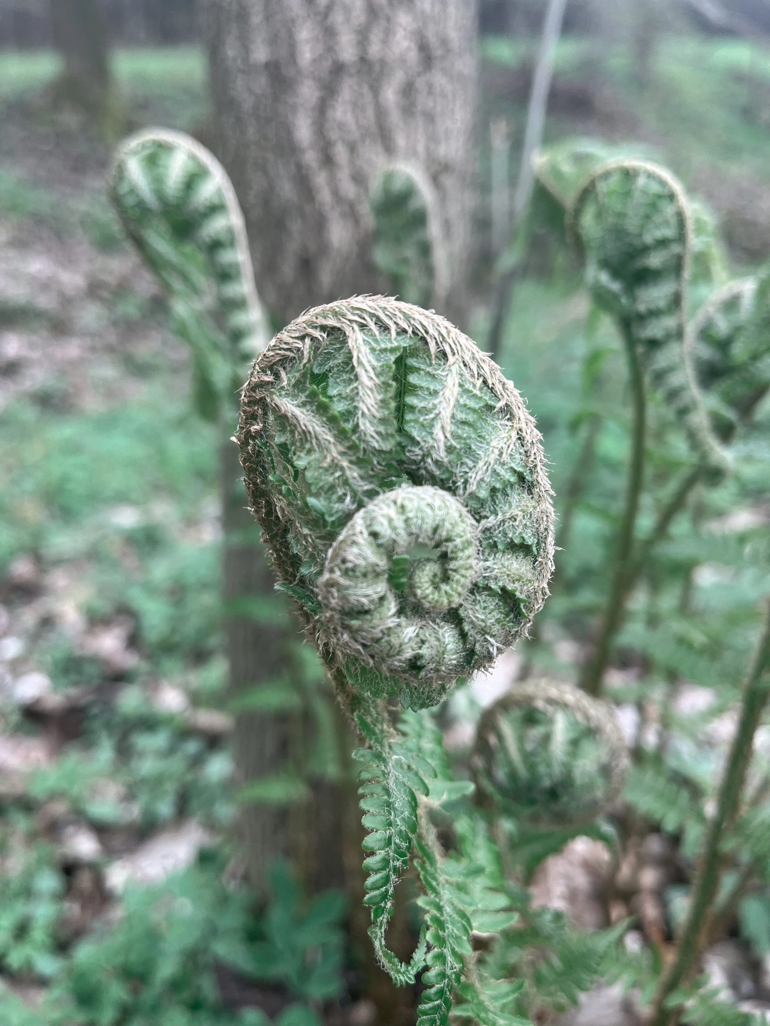 Hochsensibilität ist real, kein „Empfindlichsein“!