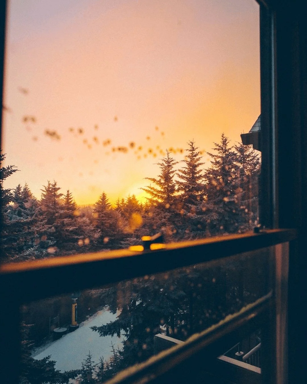 February has a way of slowing us down.
When the weather gets colder, we reach for comfort&mdash;sometimes without even realizing it.

Comfort can be a blanket&hellip;
a routine&hellip;
a familiar way of thinking&hellip;
or even avoiding hard question