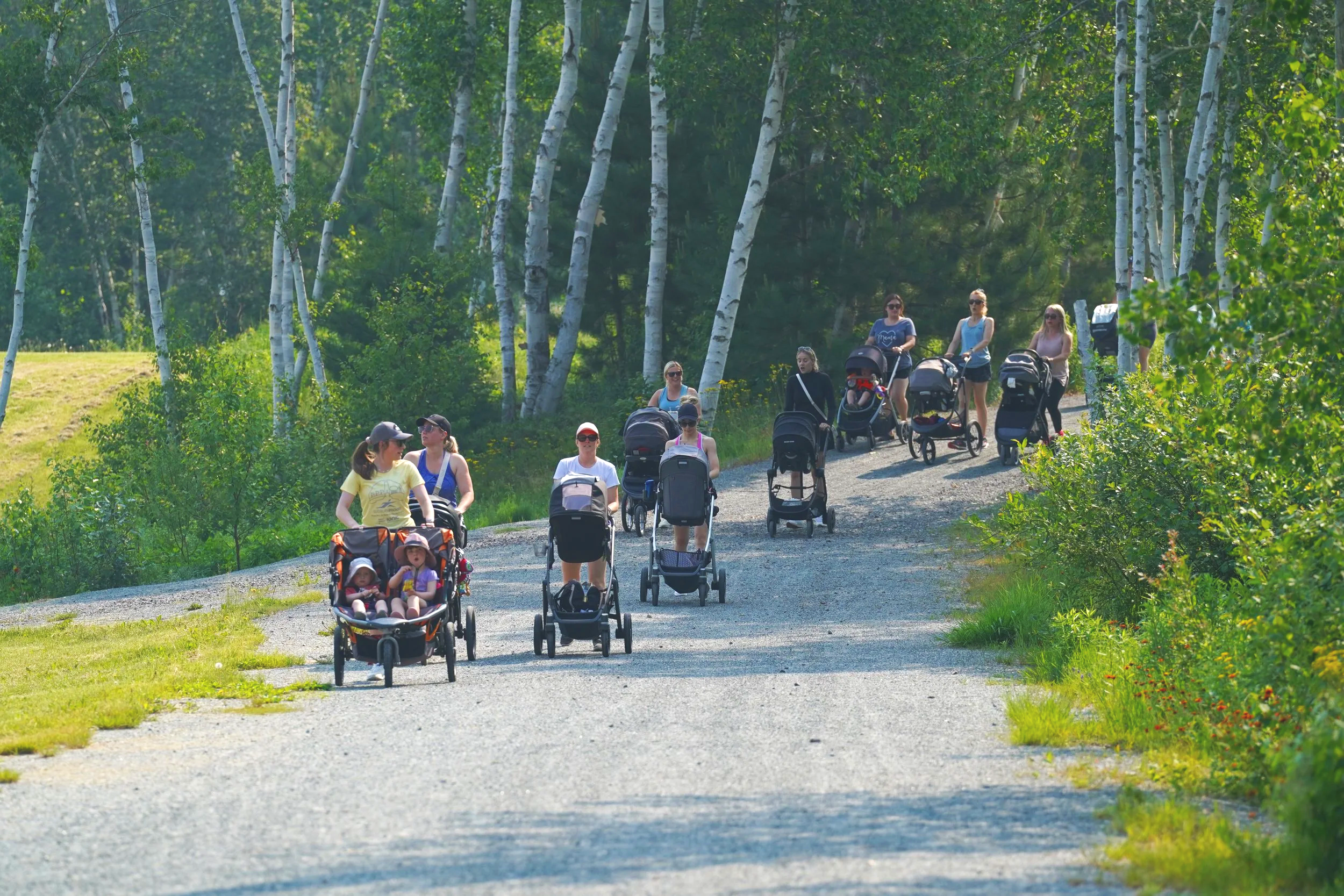 Group of women and children walking and pushing strollers on a gravel trail through a forested area with tall trees and green foliage.