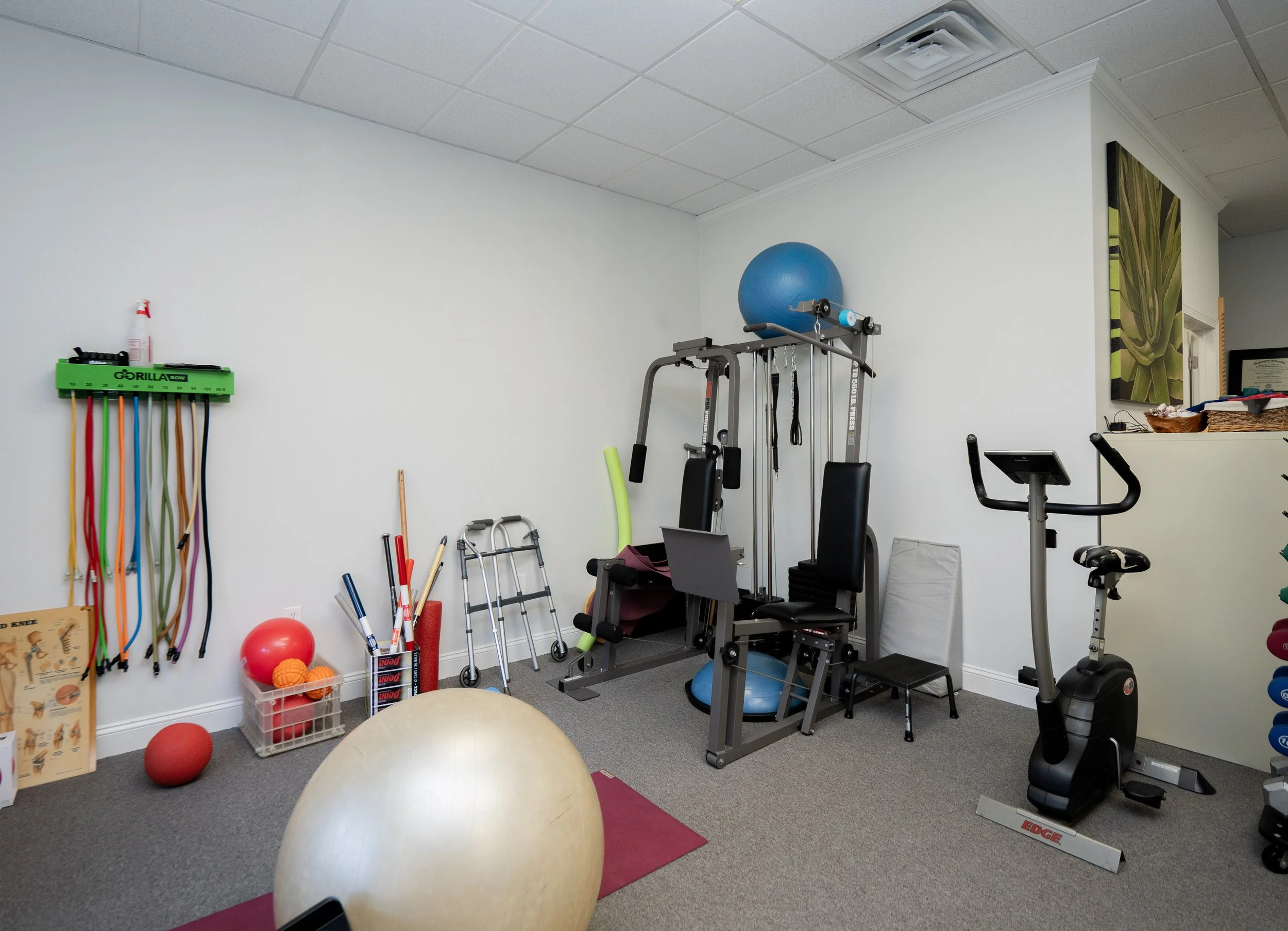 Tiverton for Sale