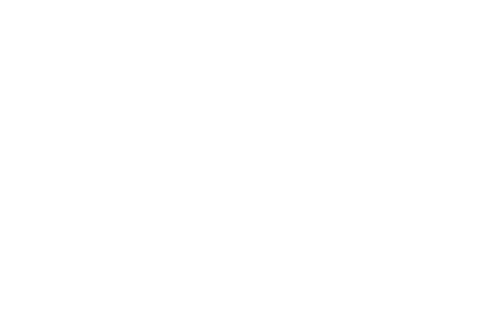 Laurels for International Festival of Films on Art  Official Selection