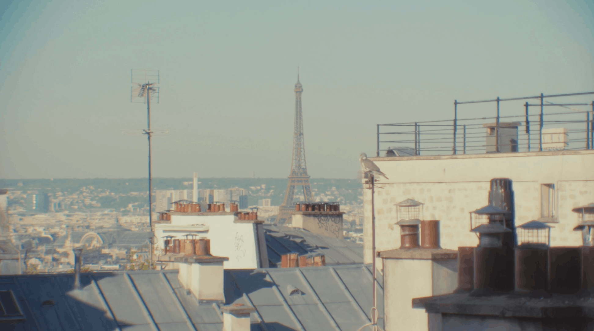Renoir still 8.png