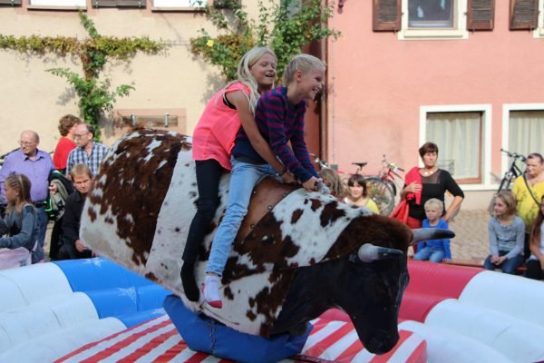 Bullriding2.jpg