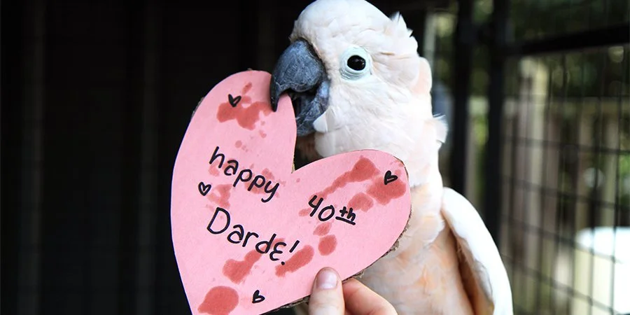 Darde Long, Friends Of The Zoo, Celebrate 40 Years Of Shared Service