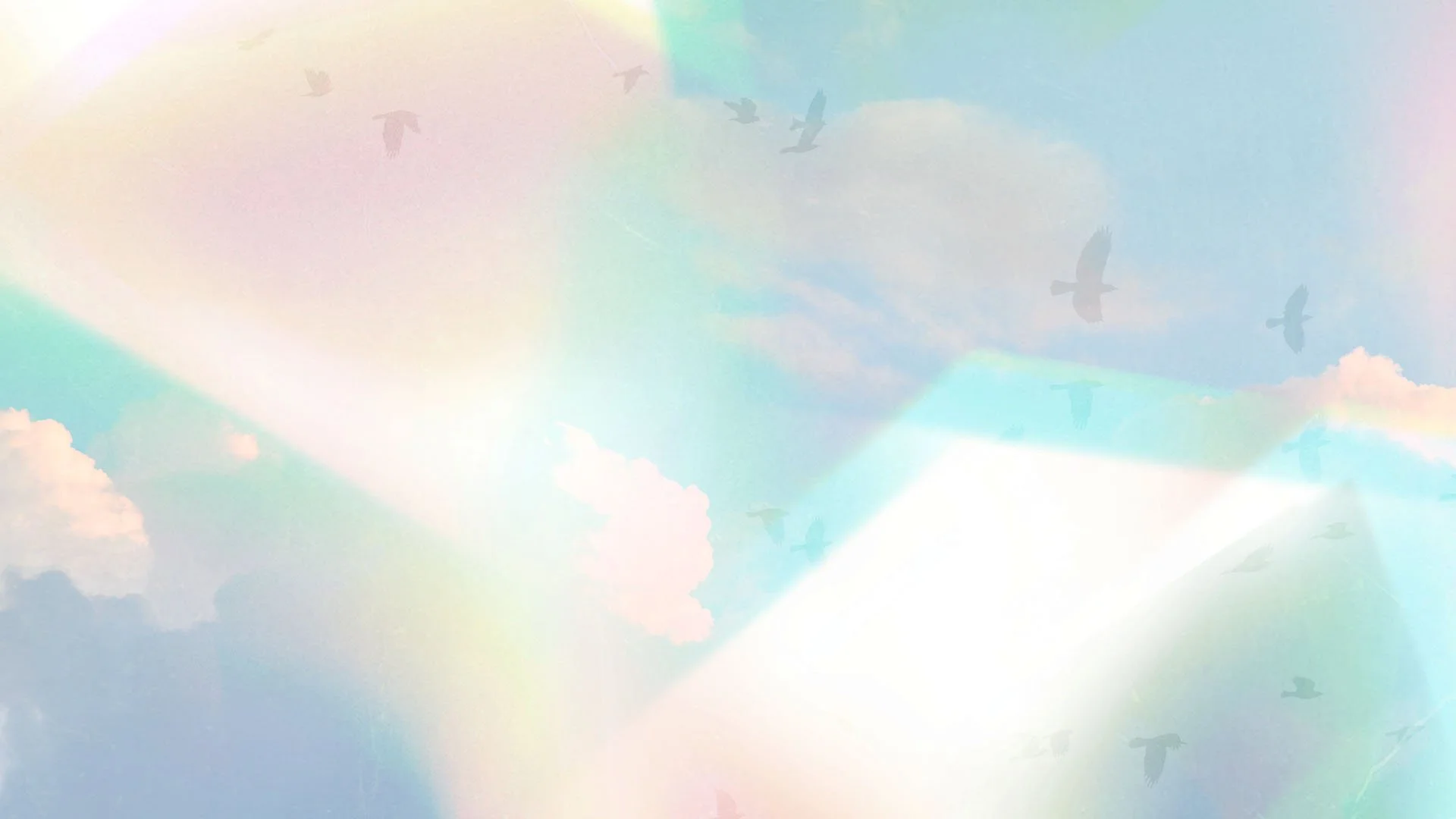 She Is Conference 2024 Women's Conference She Is Set Free