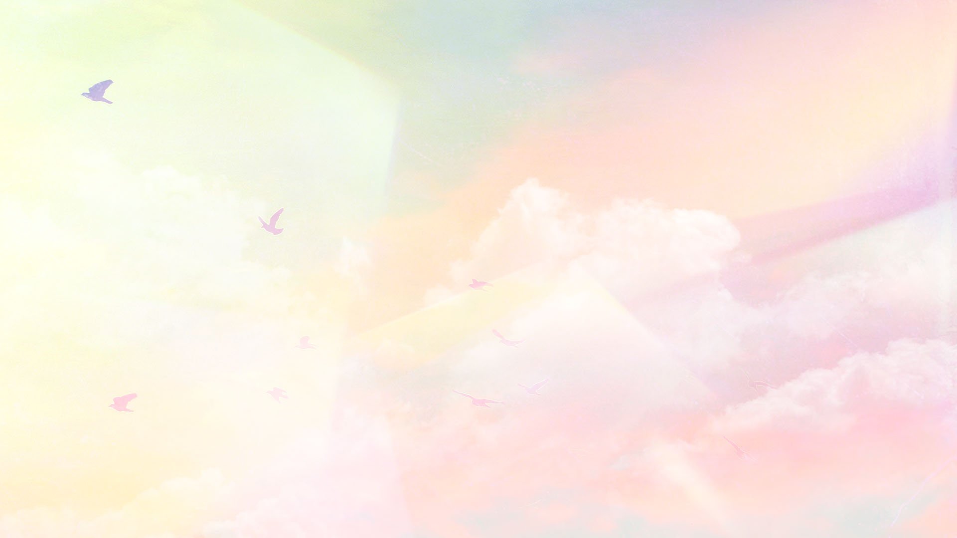 She Is Conference 2024 Women's Conference She Is Set Free