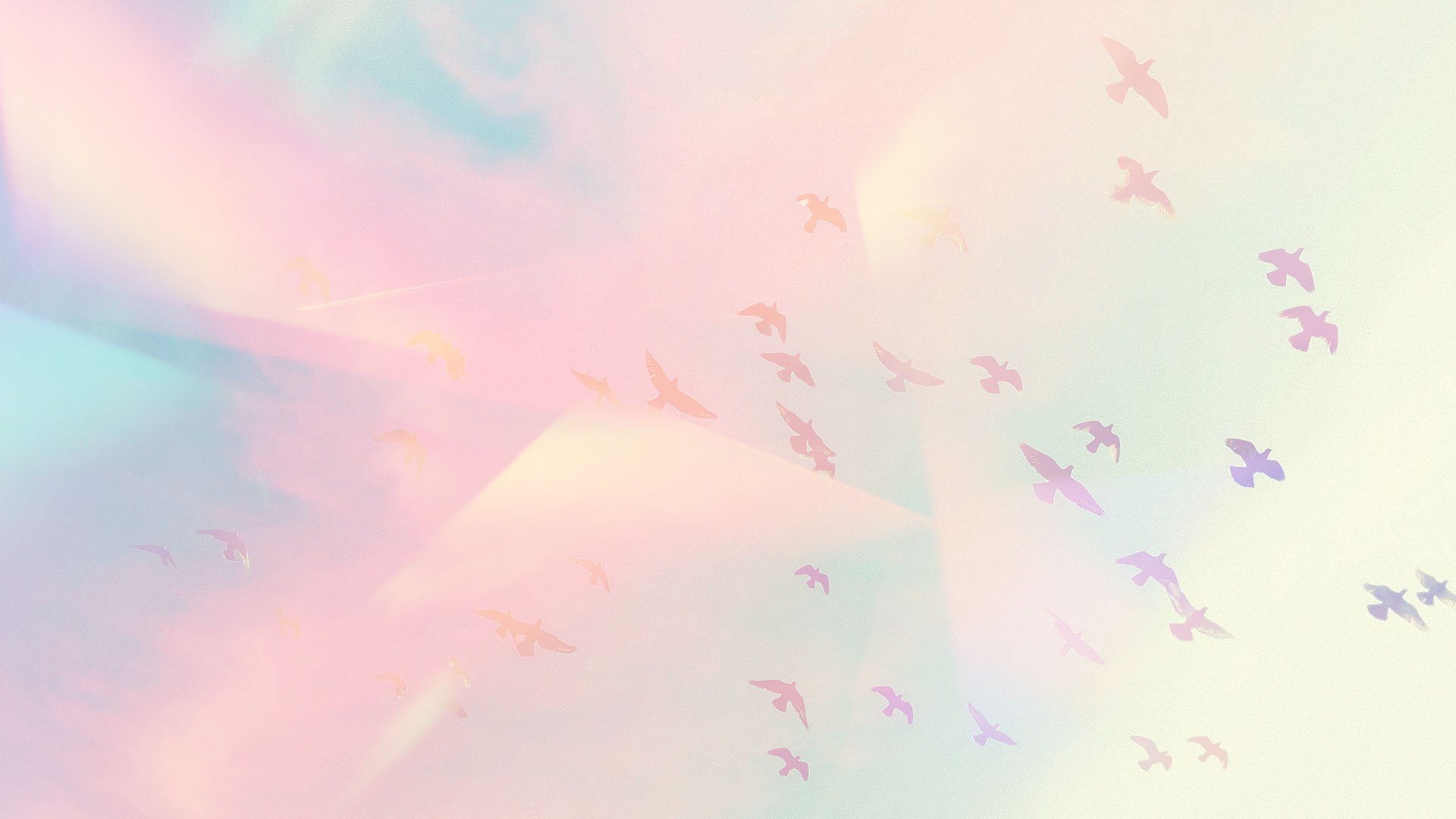 2024 Communicators — She Is Conference