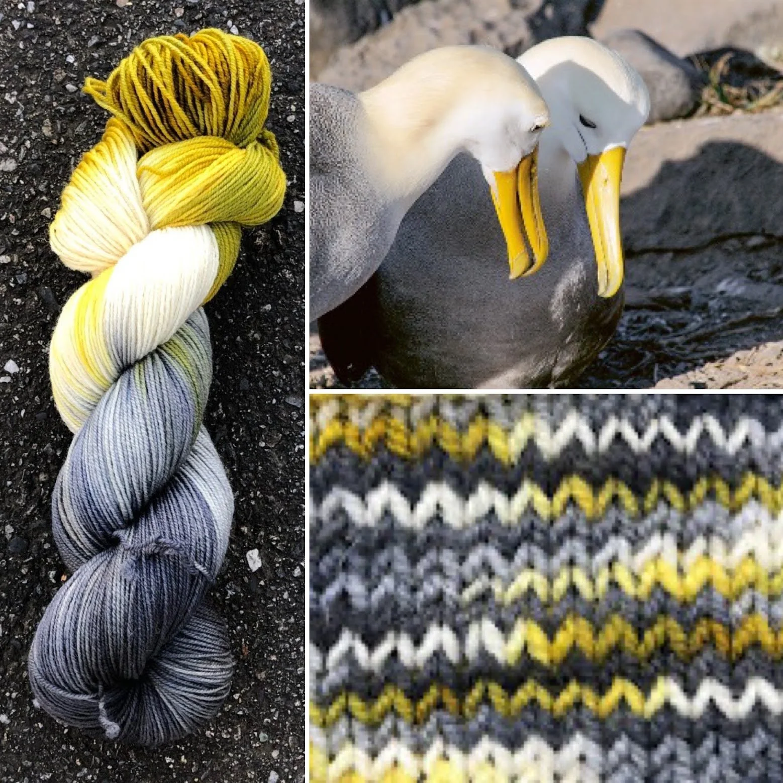 waved albatross collage swatch.jpg