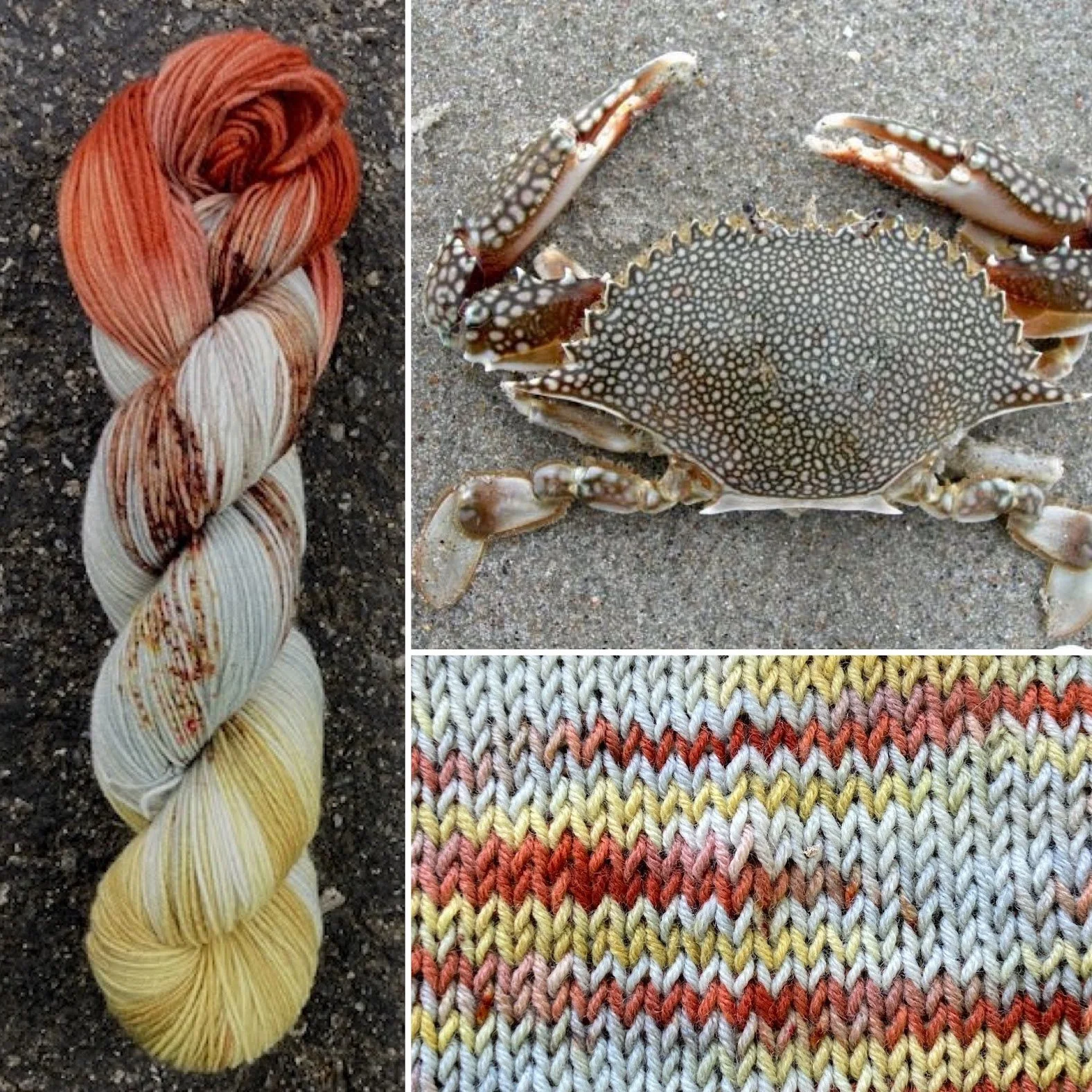 Speckled Swimming Crab and Swimmeret Green