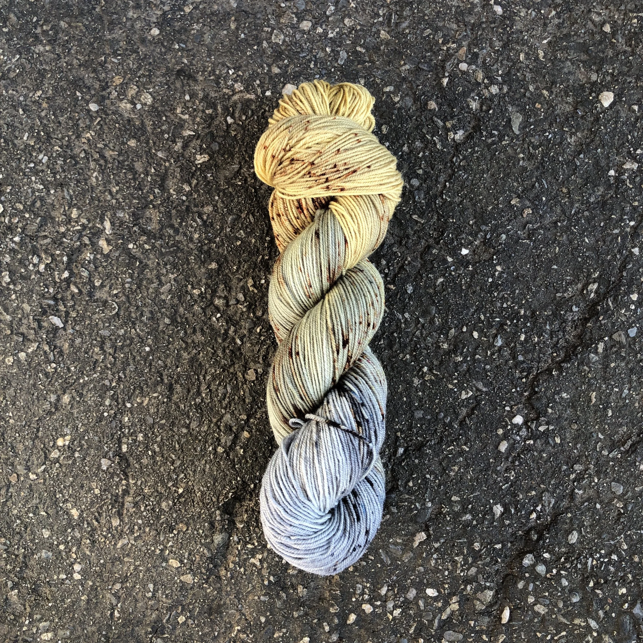 Arctic Tern Eggs.JPG