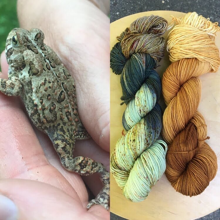 Hands holding an American Toad; skeins of yarn in green an brown colors (Copy)