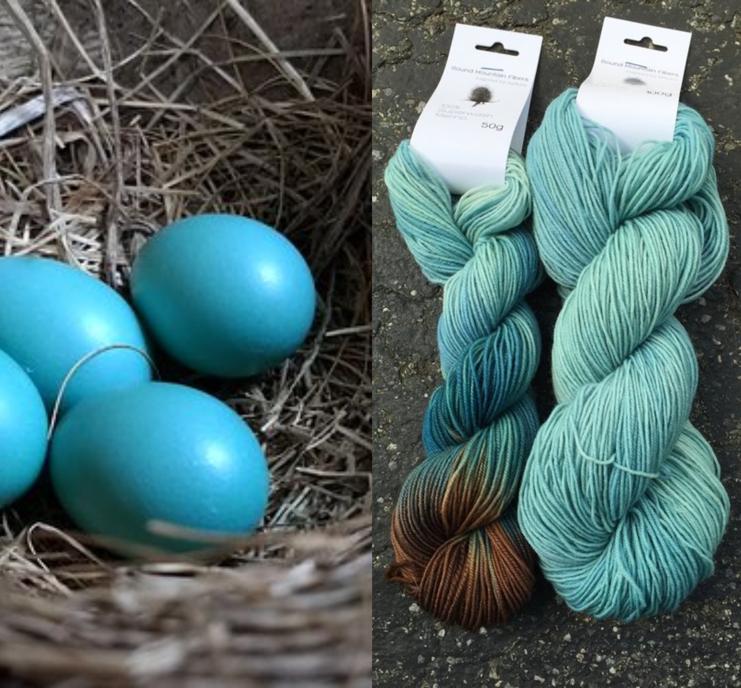 Four Robin's eggs in a nest; skeins of yarn in blue and brown colors