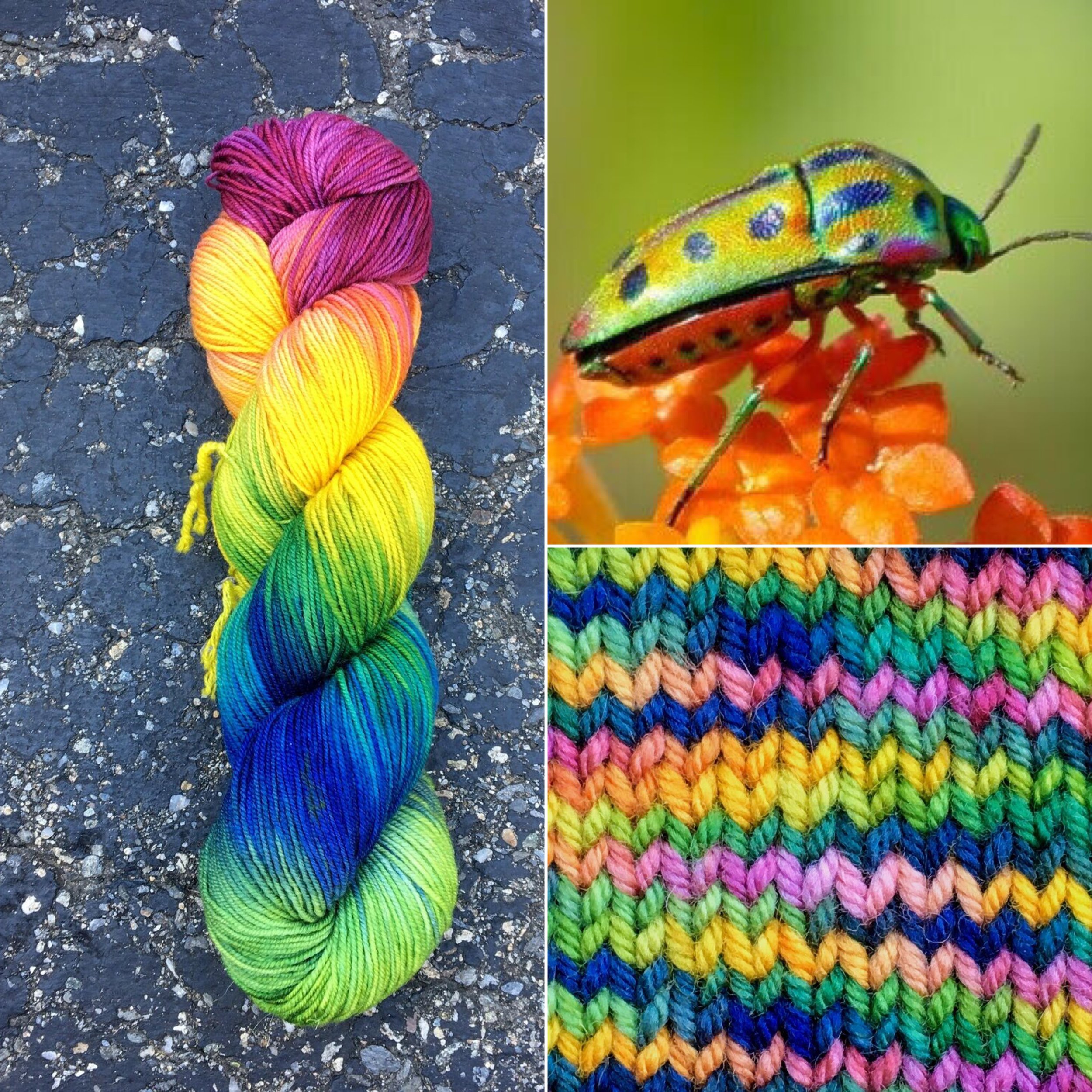 A skein of yarn in pink, yellow. blue, and green colors; A brightly colored beetle on orange flowers; A swatch of knitted yarn (Copy)