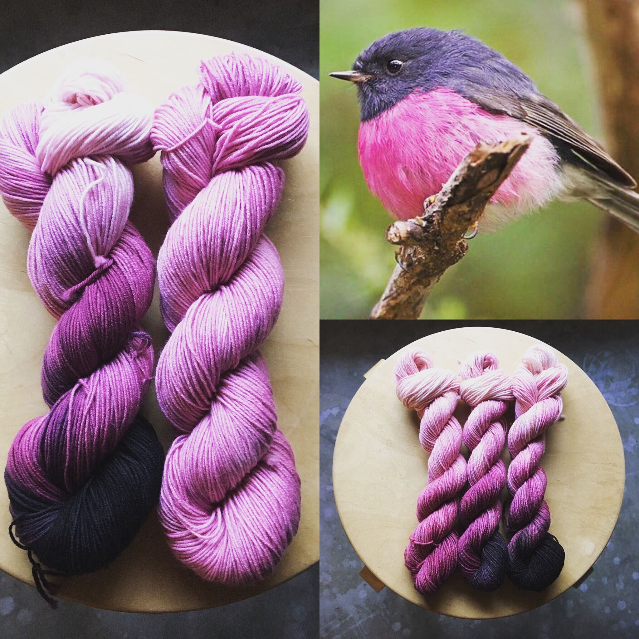 Skeins of yarn in pinks and purples; A robin perched on a branch; Skeins of yarn on a stool