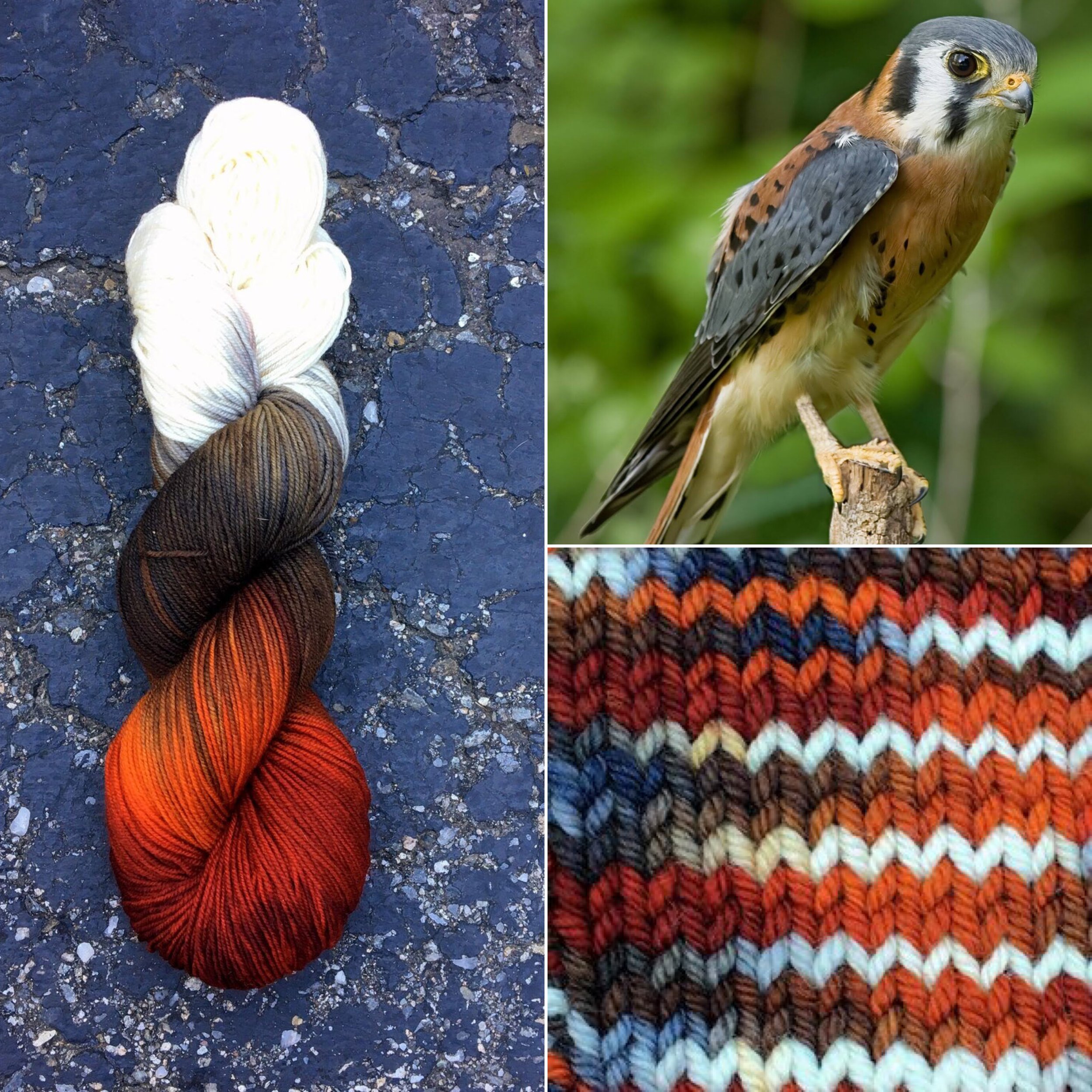 A skein of yarn in white, brown, and orange colors; A bird perched on a branch; A swatch of knit yarn