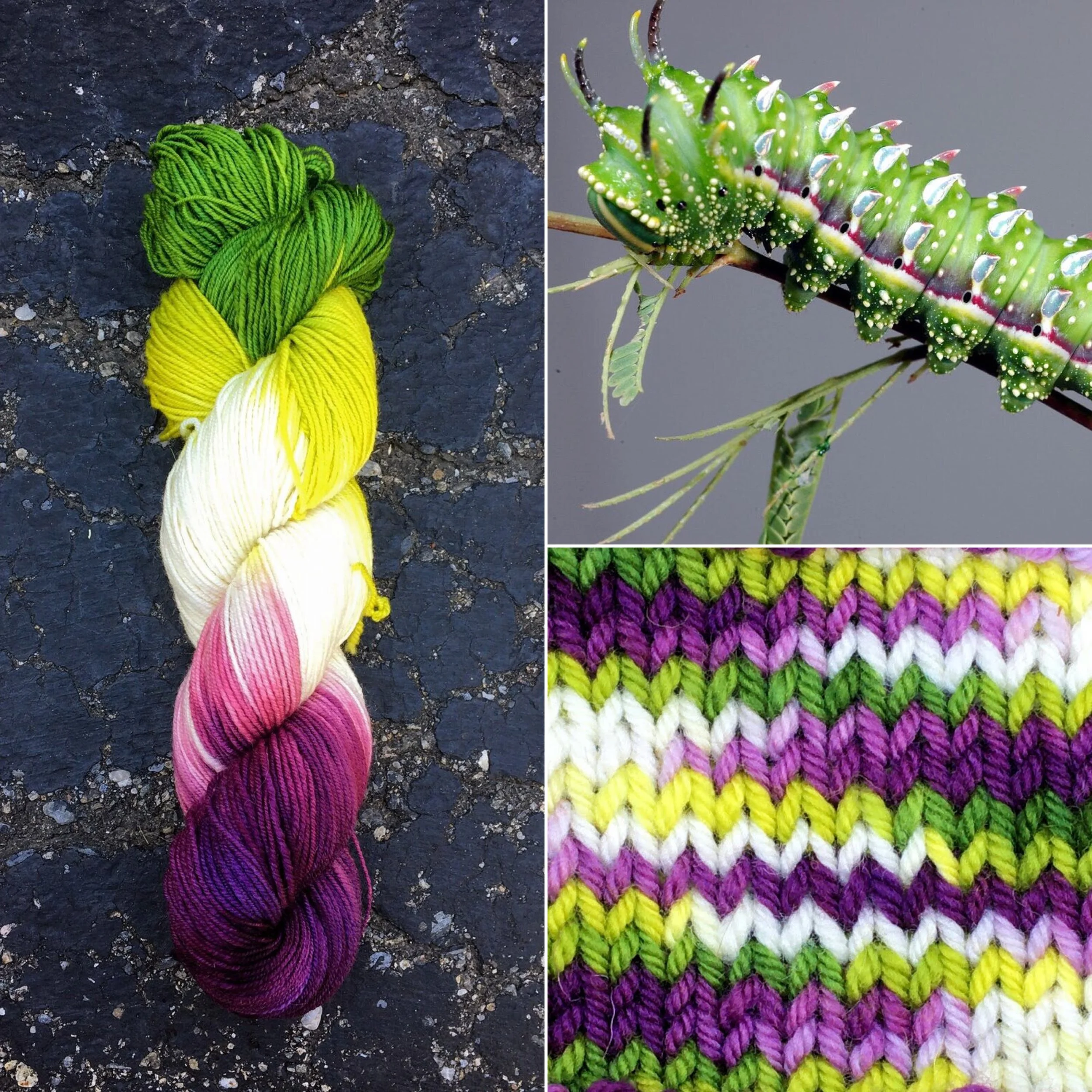 Hubbard's Caterpillar and Caterpillar Purple — Round Mountain Fibers