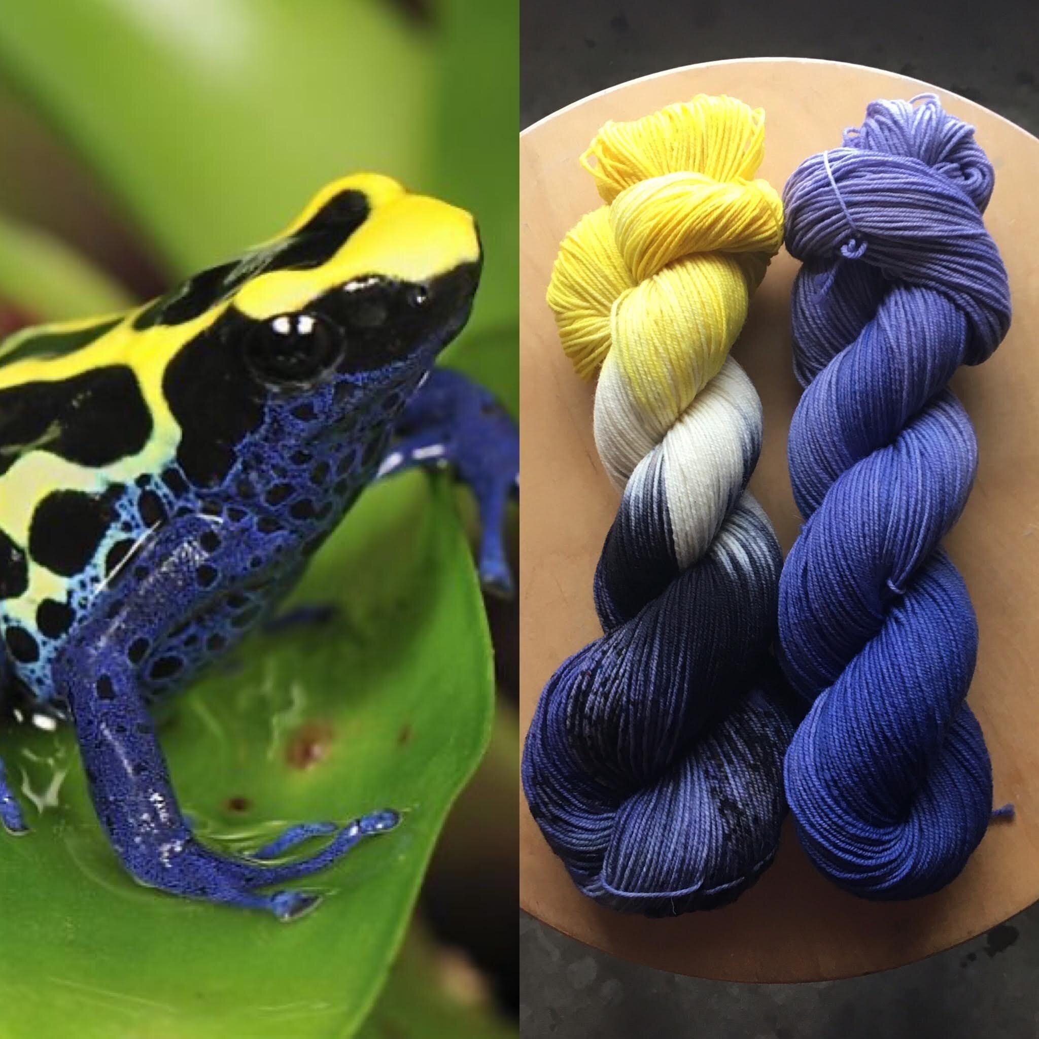 A frog on a leaf; Skeins of yarn in blue, yellow, white, and black