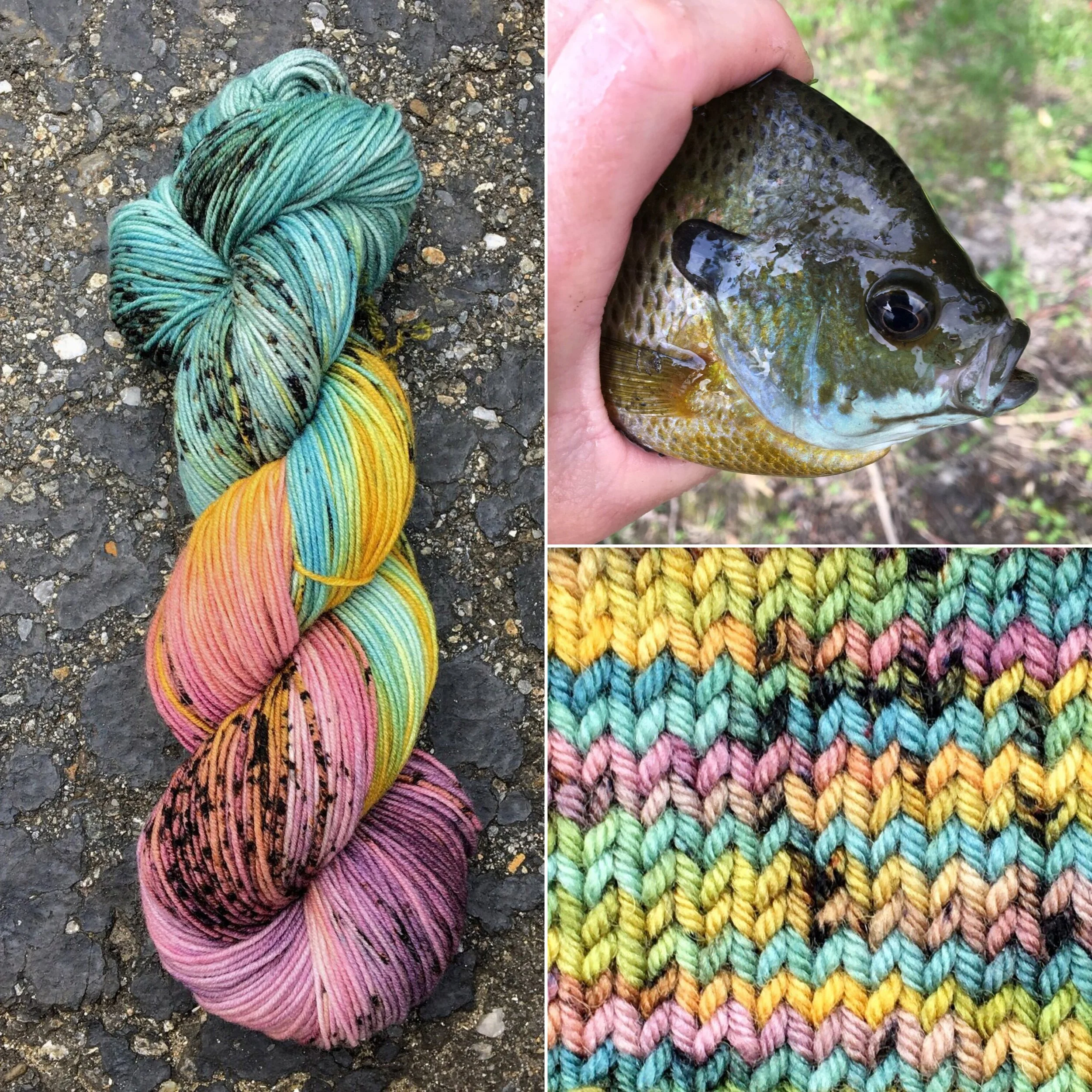 A skein of yarn in blue, yellow, and pink; a hand holding a fish; a swatch of knit yarn