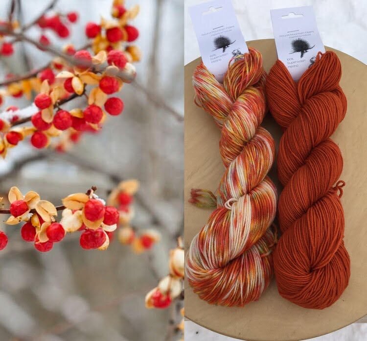 Branches of tiny red berries; skeins of yarn in orange and browns (Copy)