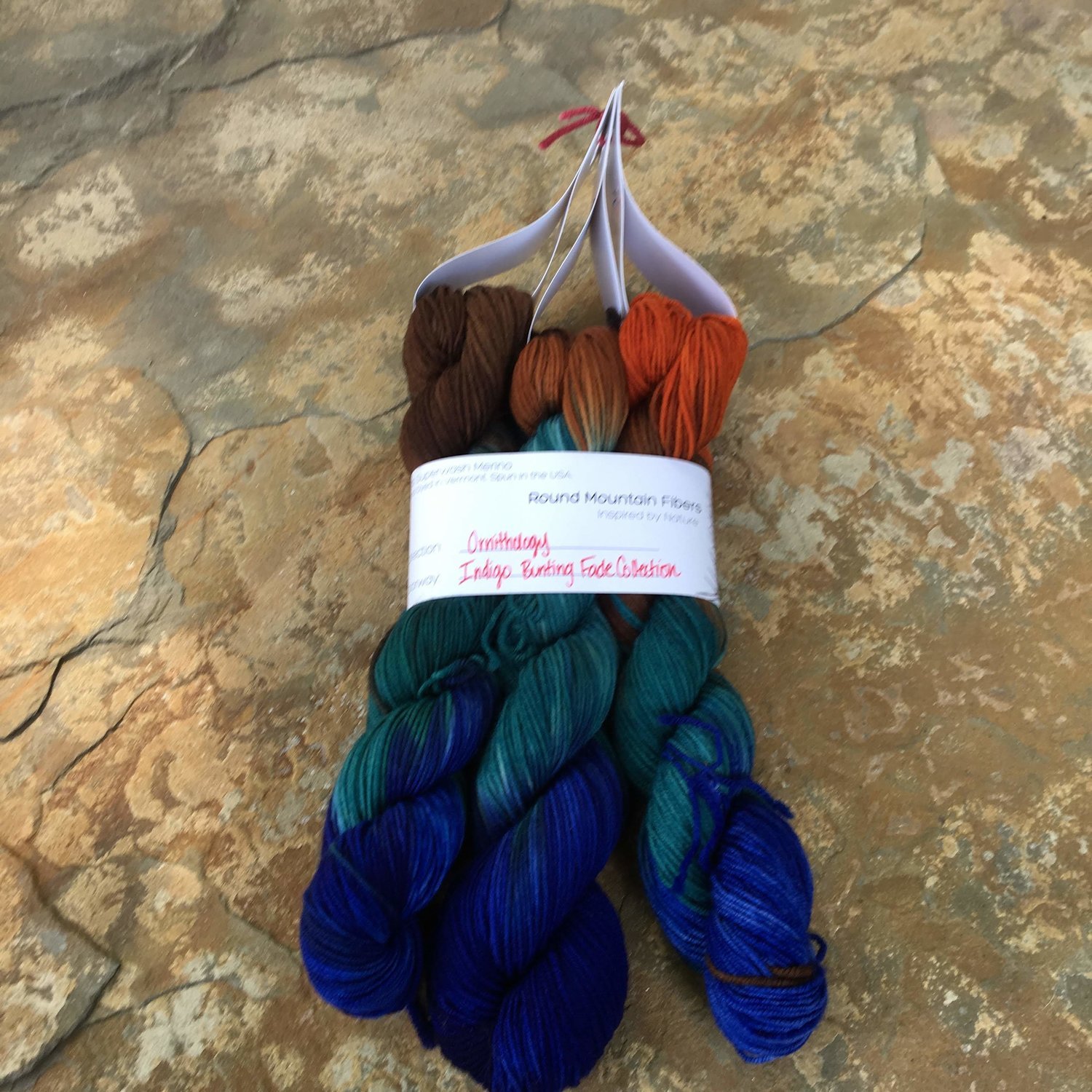 Indigo+Bunting+Fade.jpg