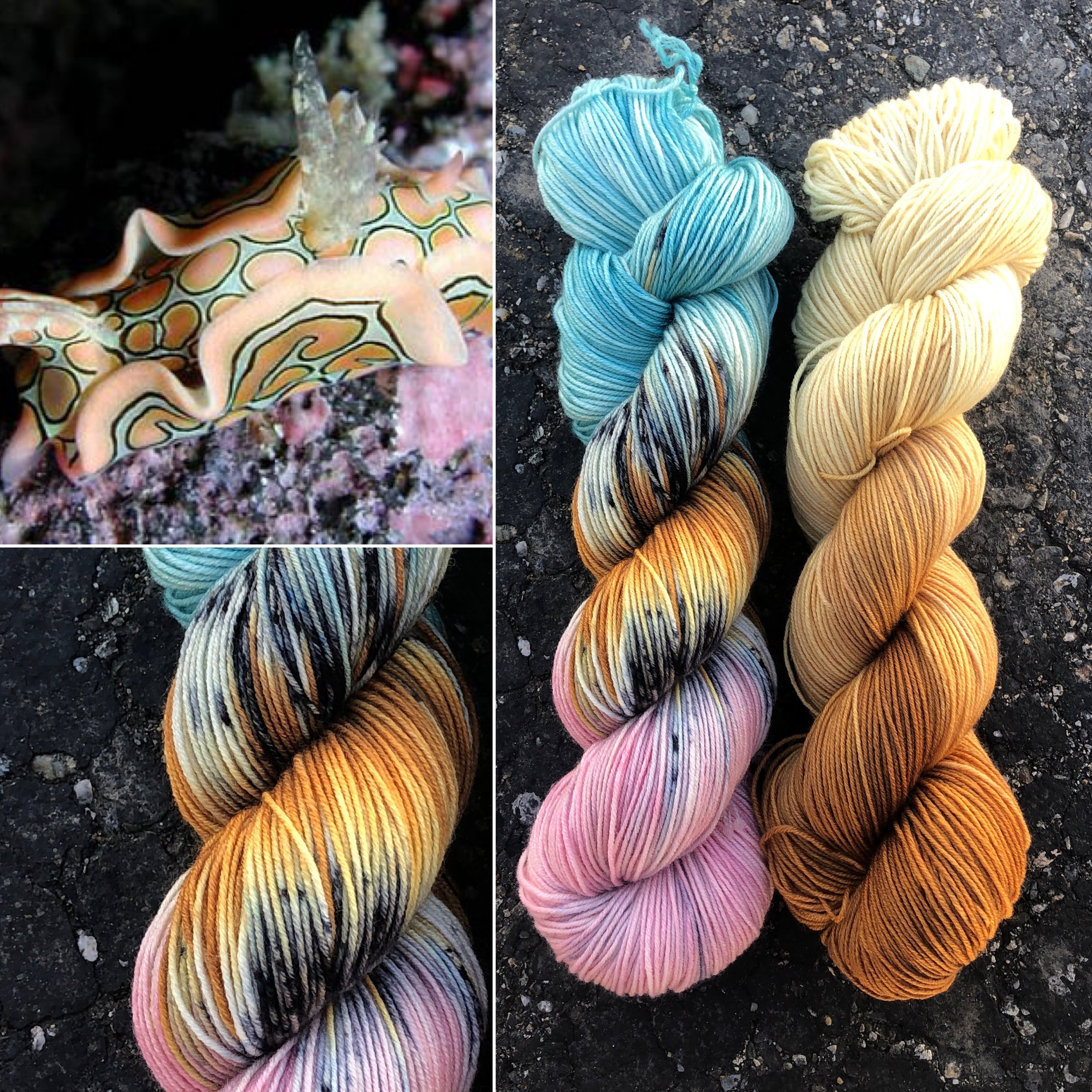 A colorful sea slug on coral; skeins of yarn in blue, pink, brown, gray
