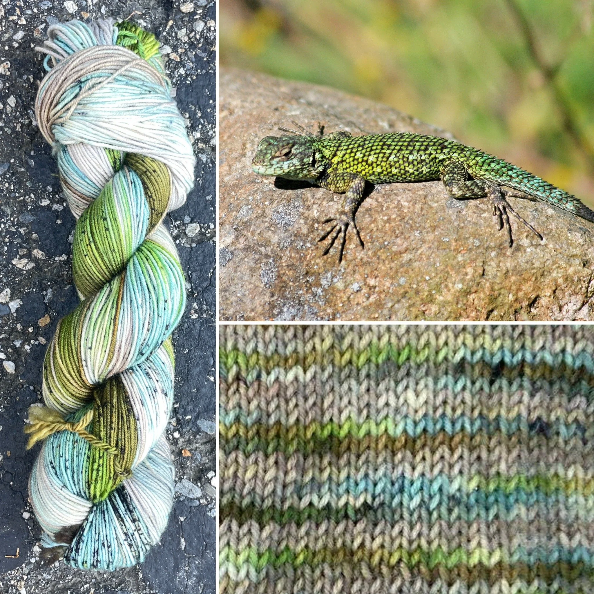 Green Spiny Lizard