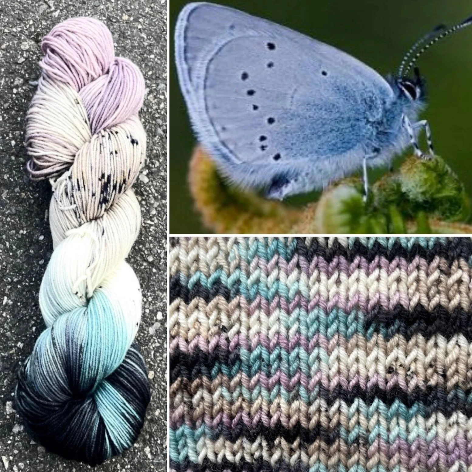 Small Blue Butterfly