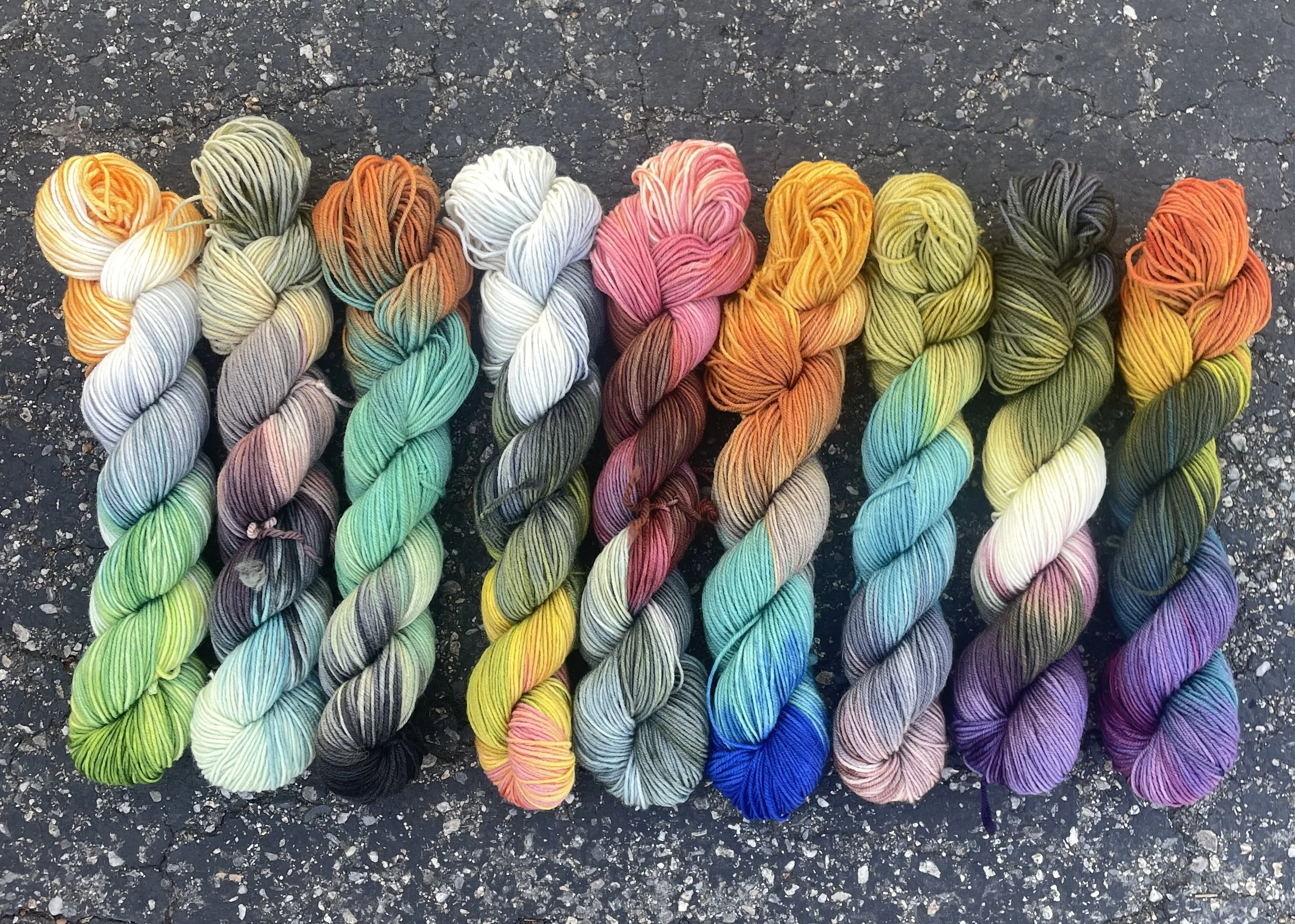 Entomology Collection