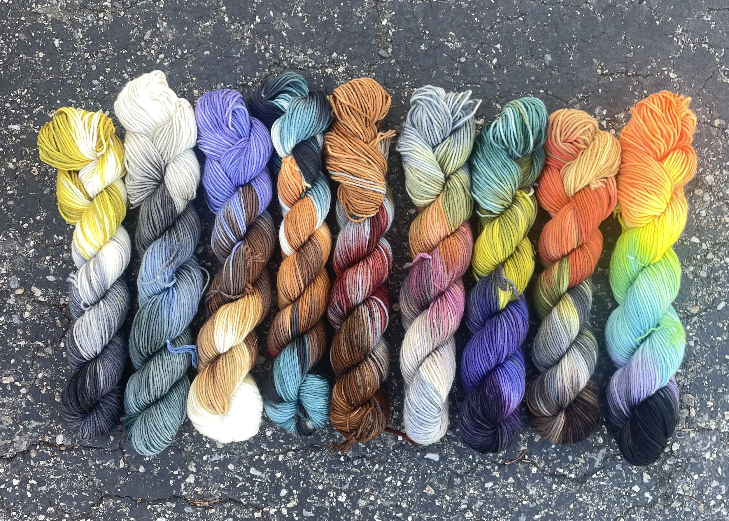 Ornithology Collection