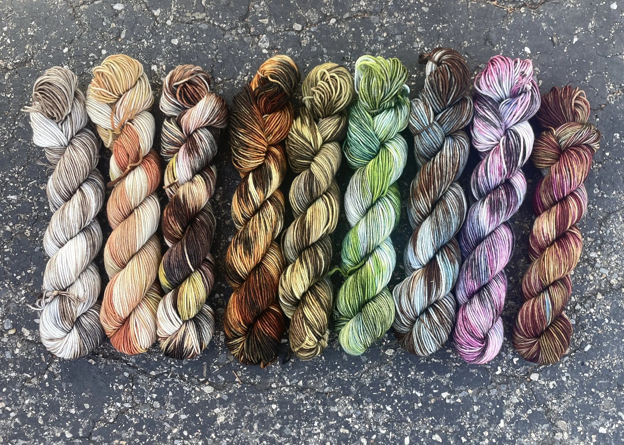 Mammalogy Collection