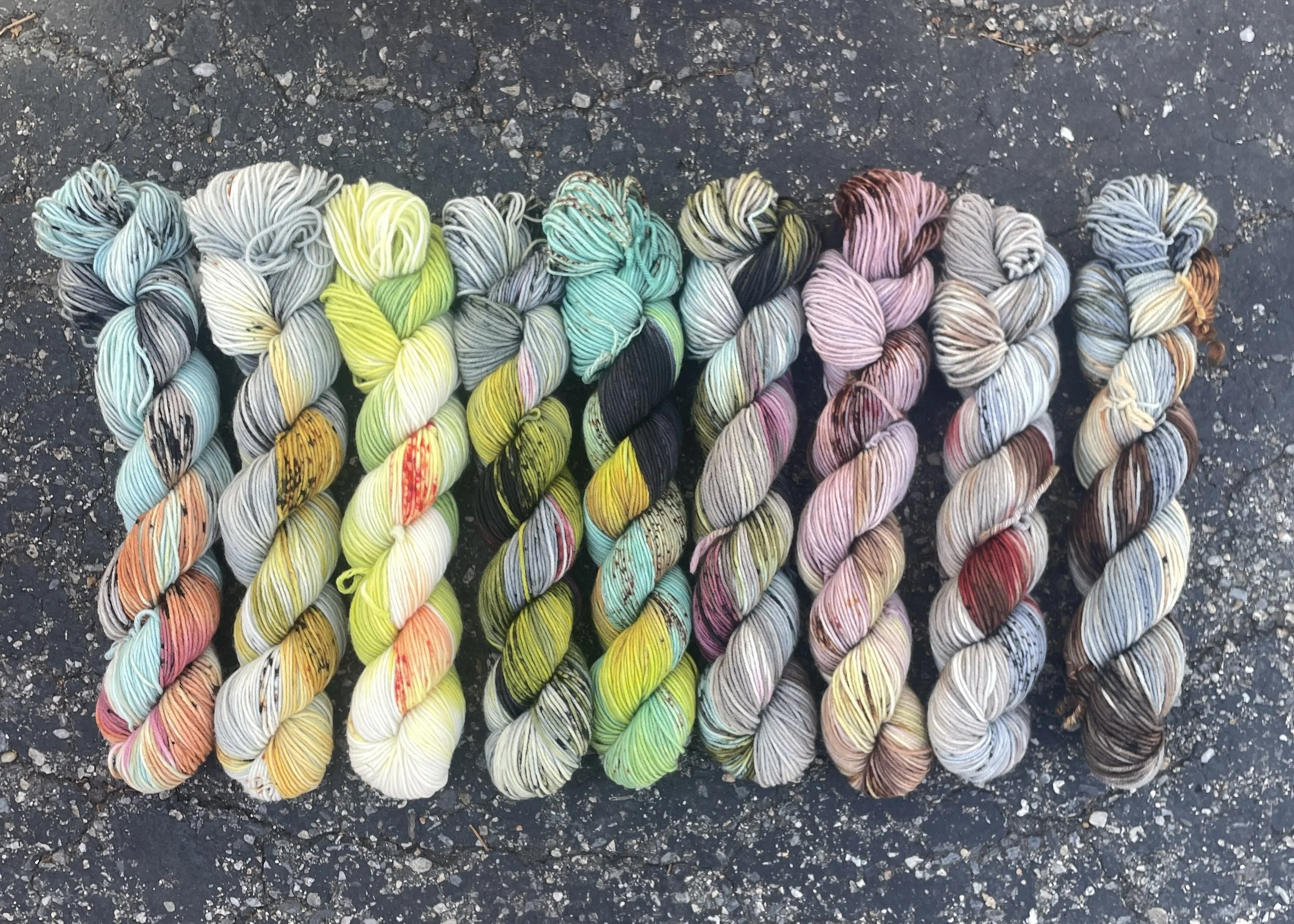 Herpetology Collection